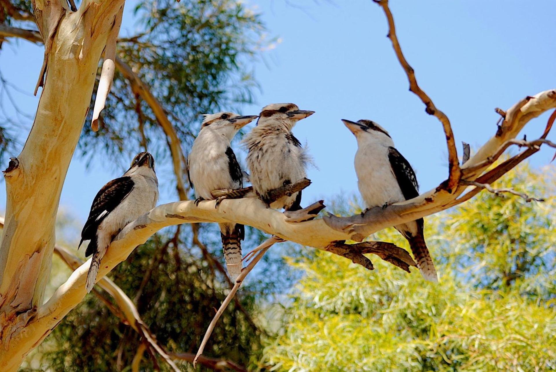 City Escape Taroona - Property Image 13