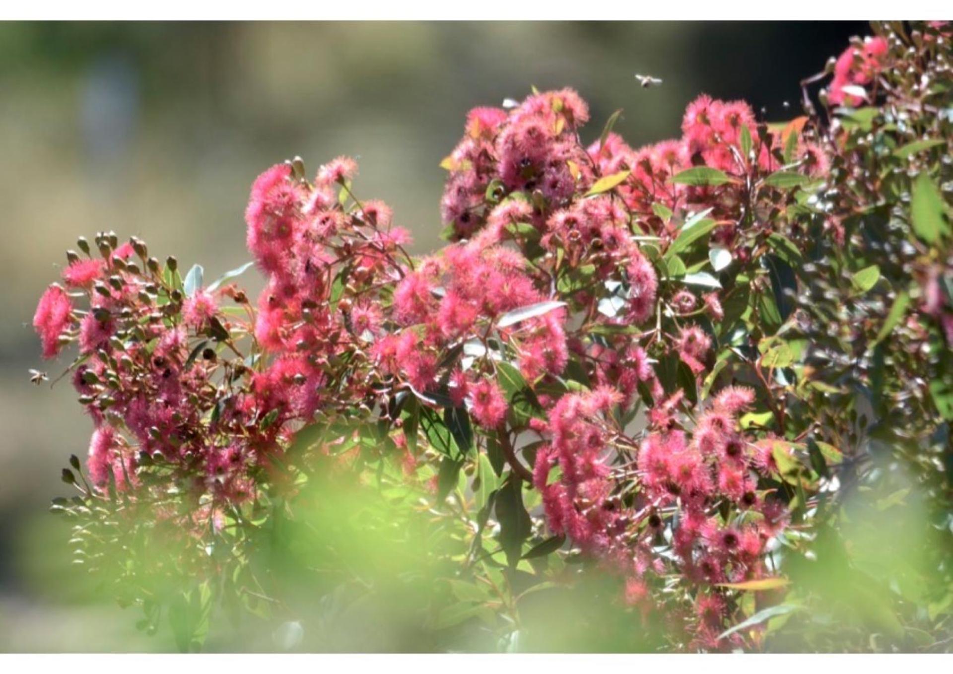 City Escape Taroona - Property Image 12