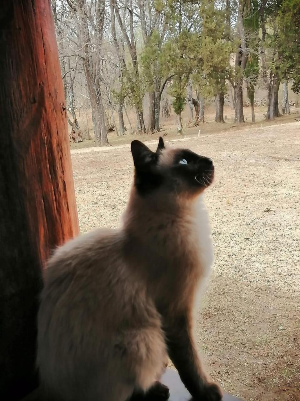 Cabaña de Campo - Valle de Calamuchita - Sierras de Córdoba