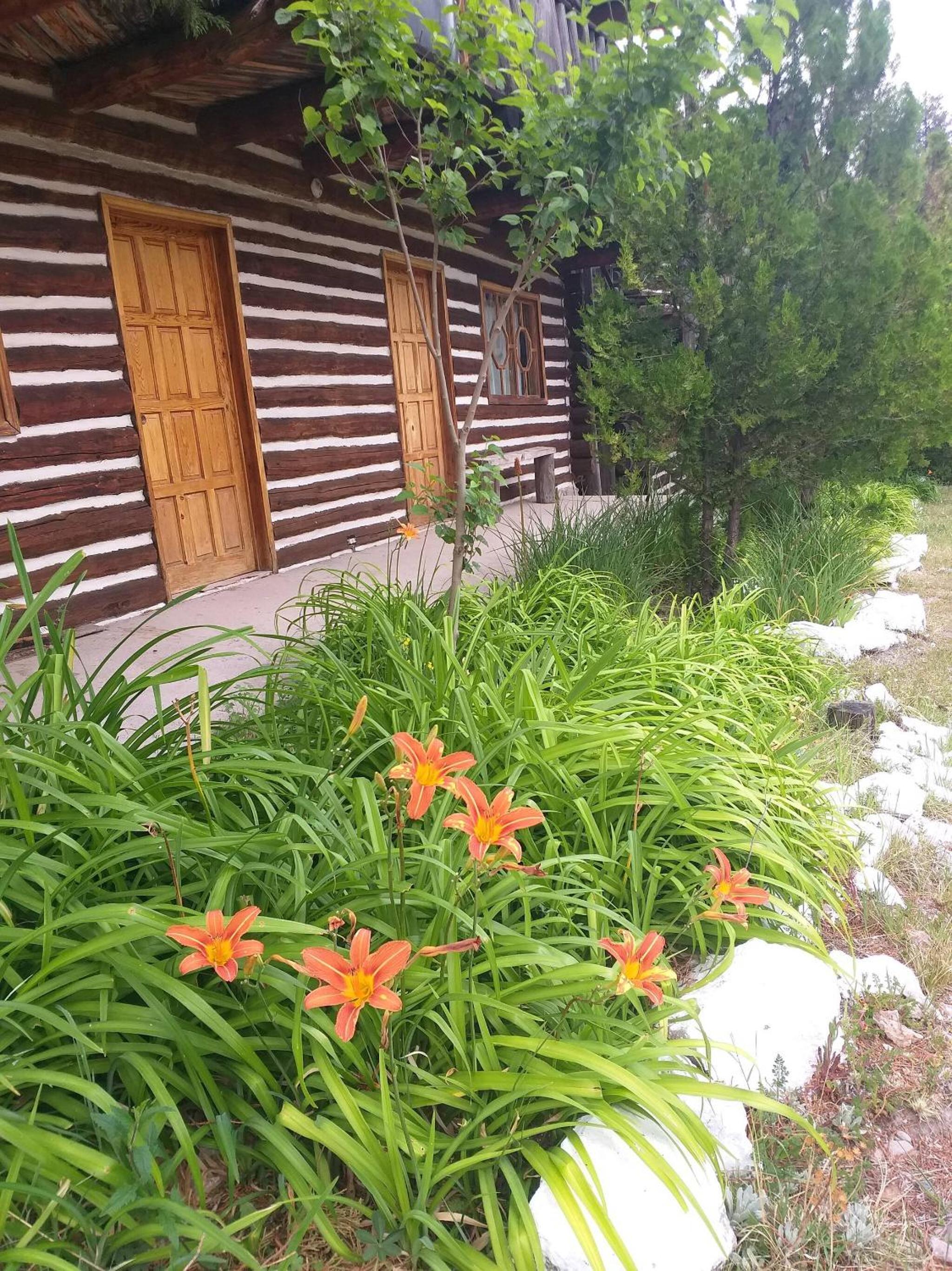 Photo 17
