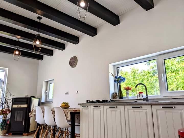 Hill House Valiug Crivaia