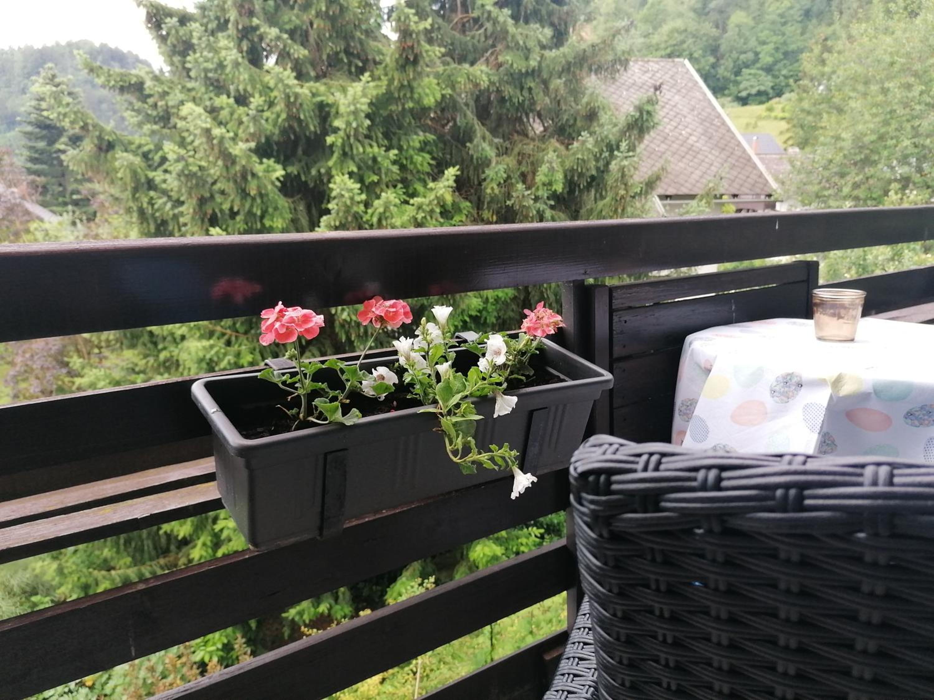 Vila Nana Bled Apartments & Rooms view 3