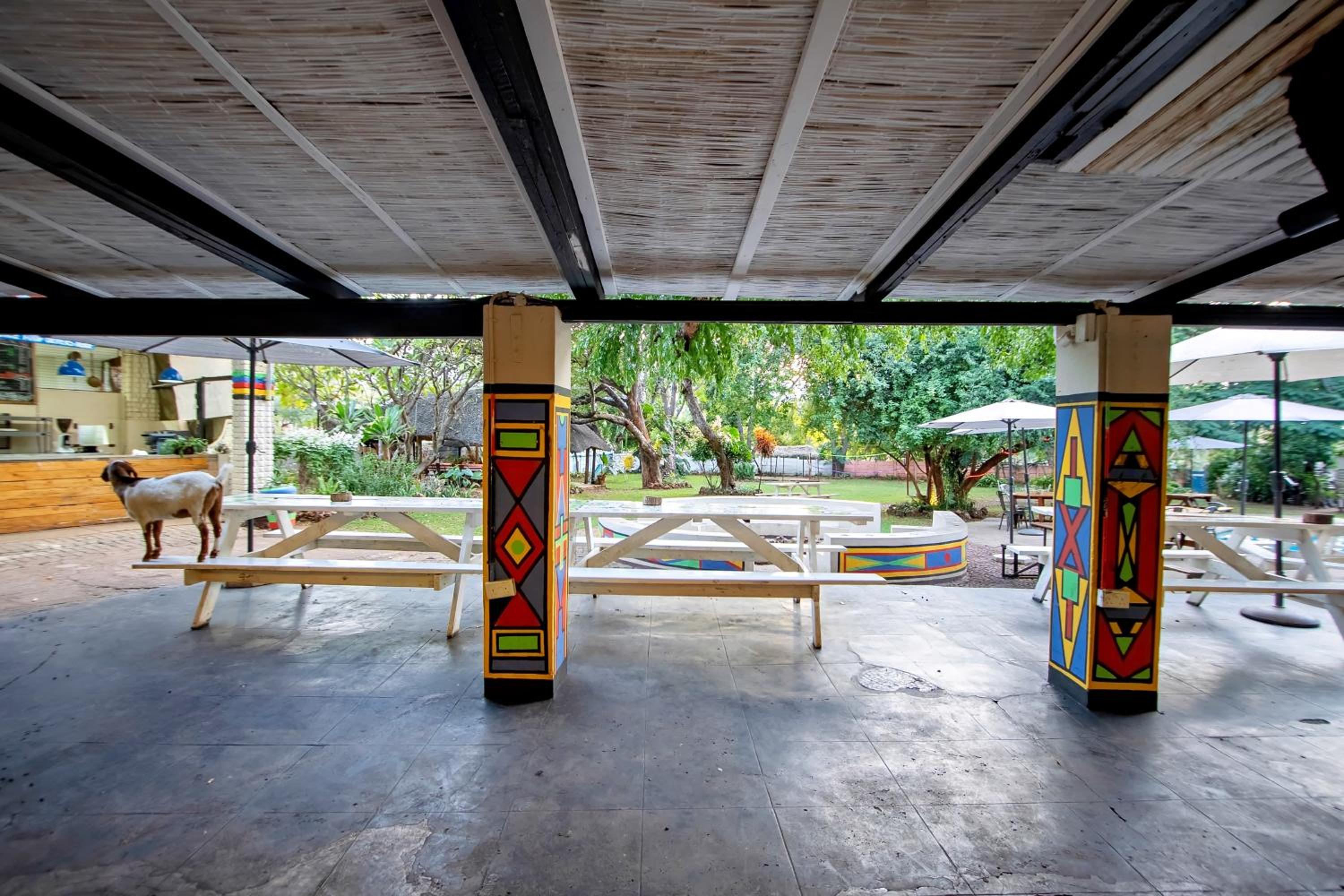 Foto 41 de 52 de Shoestrings Backpackers Lodge Vic Falls