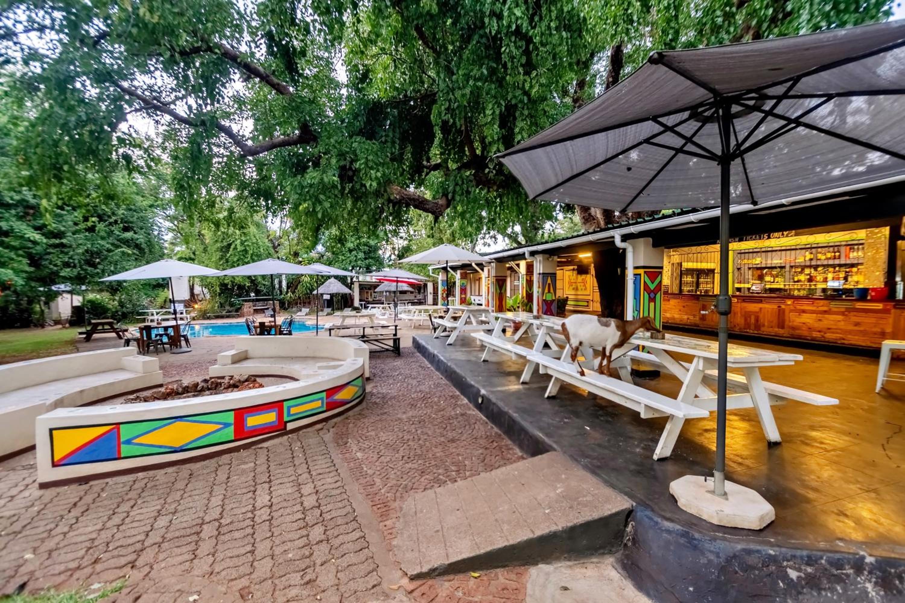 Foto 43 de 52 de Shoestrings Backpackers Lodge Vic Falls