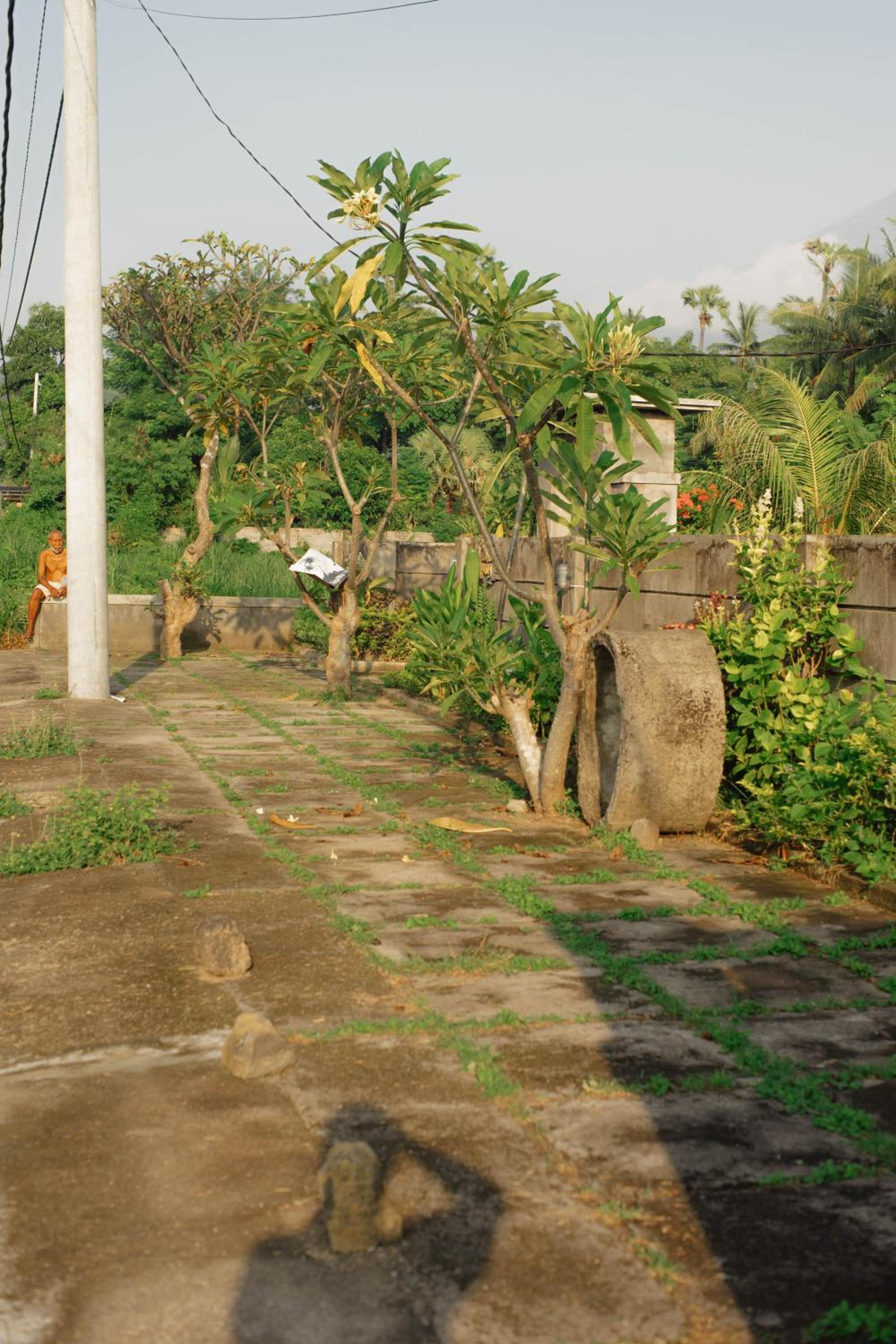 Photo 16