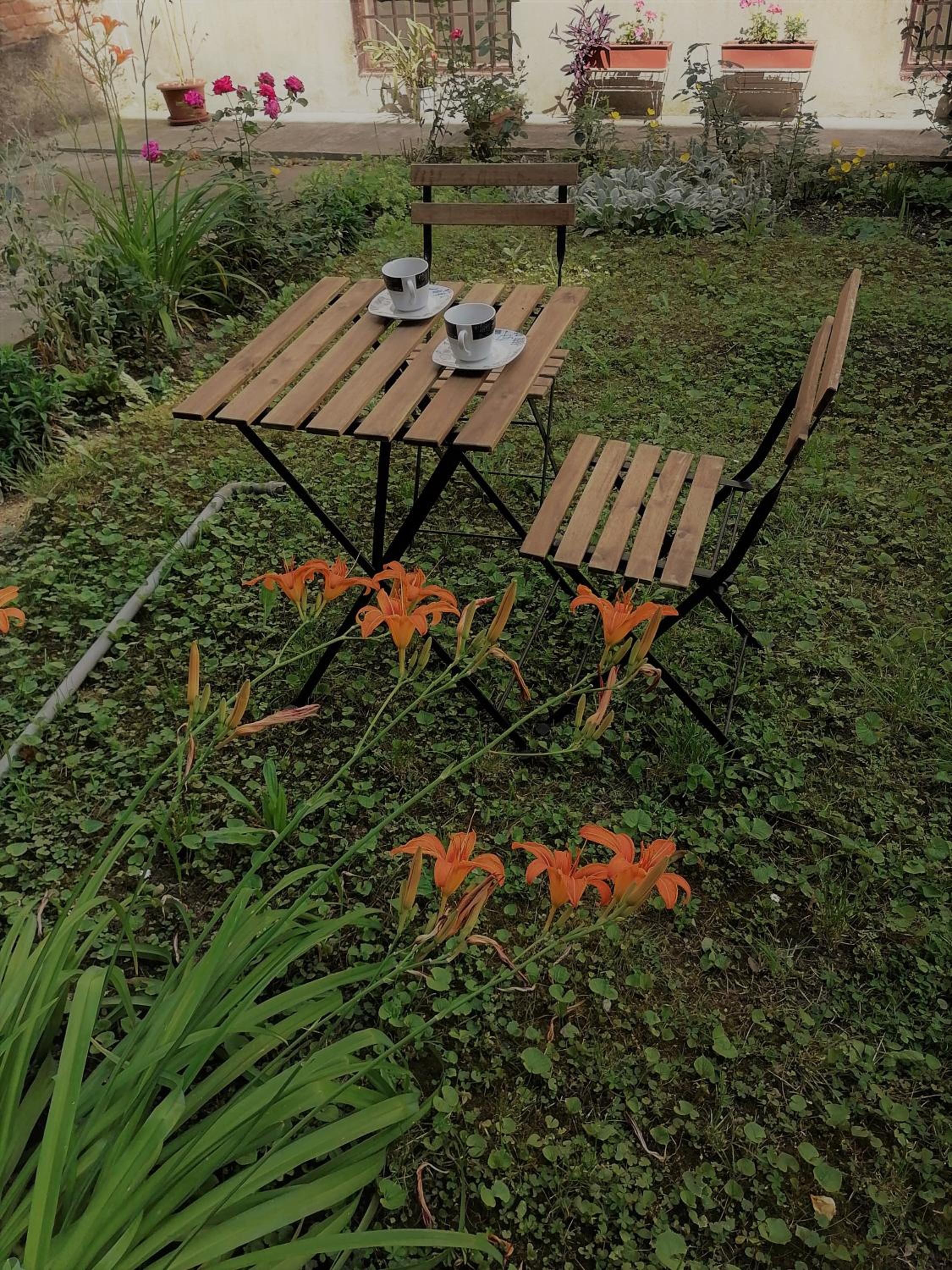 Photo 9