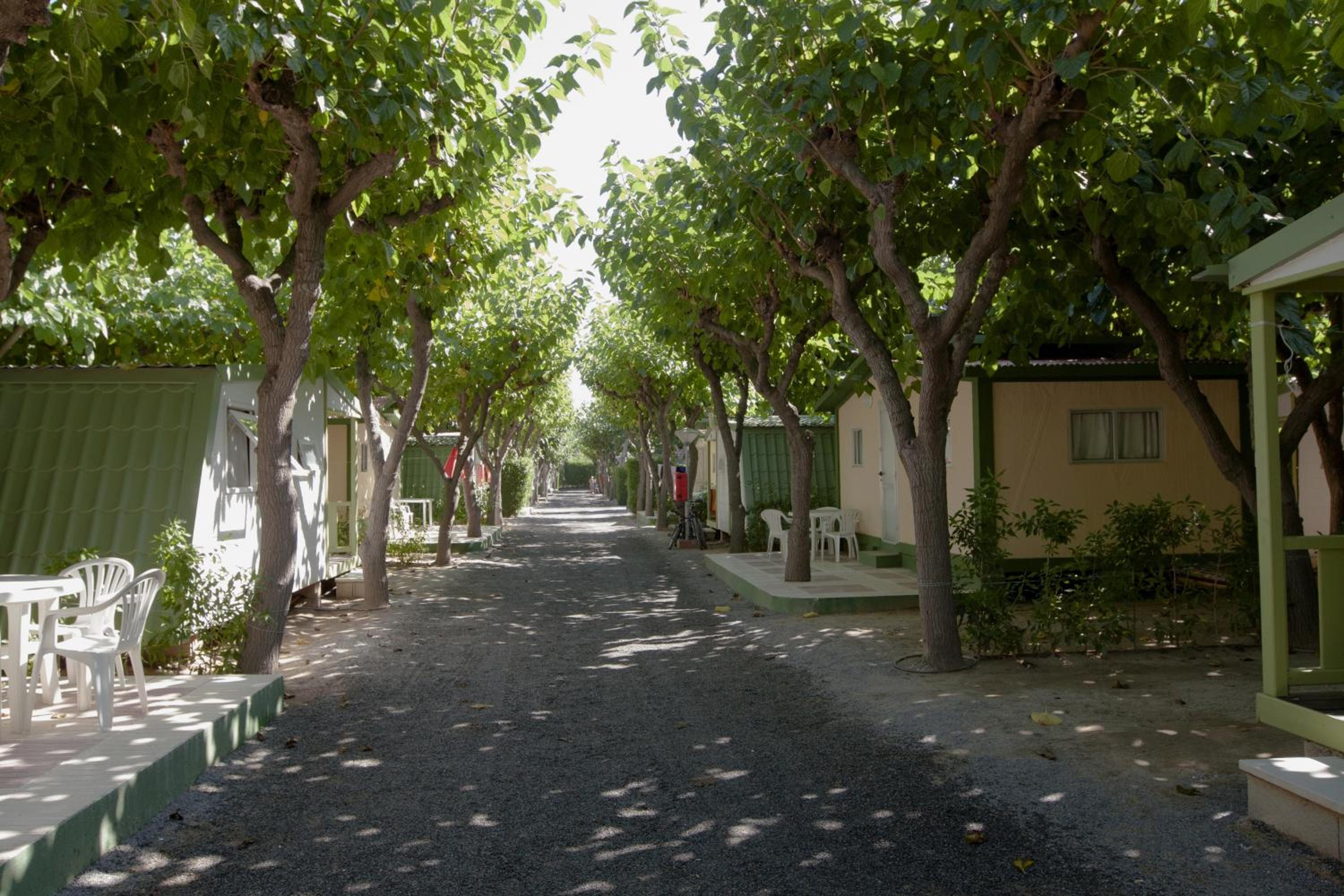 Camping Platja Cambrils