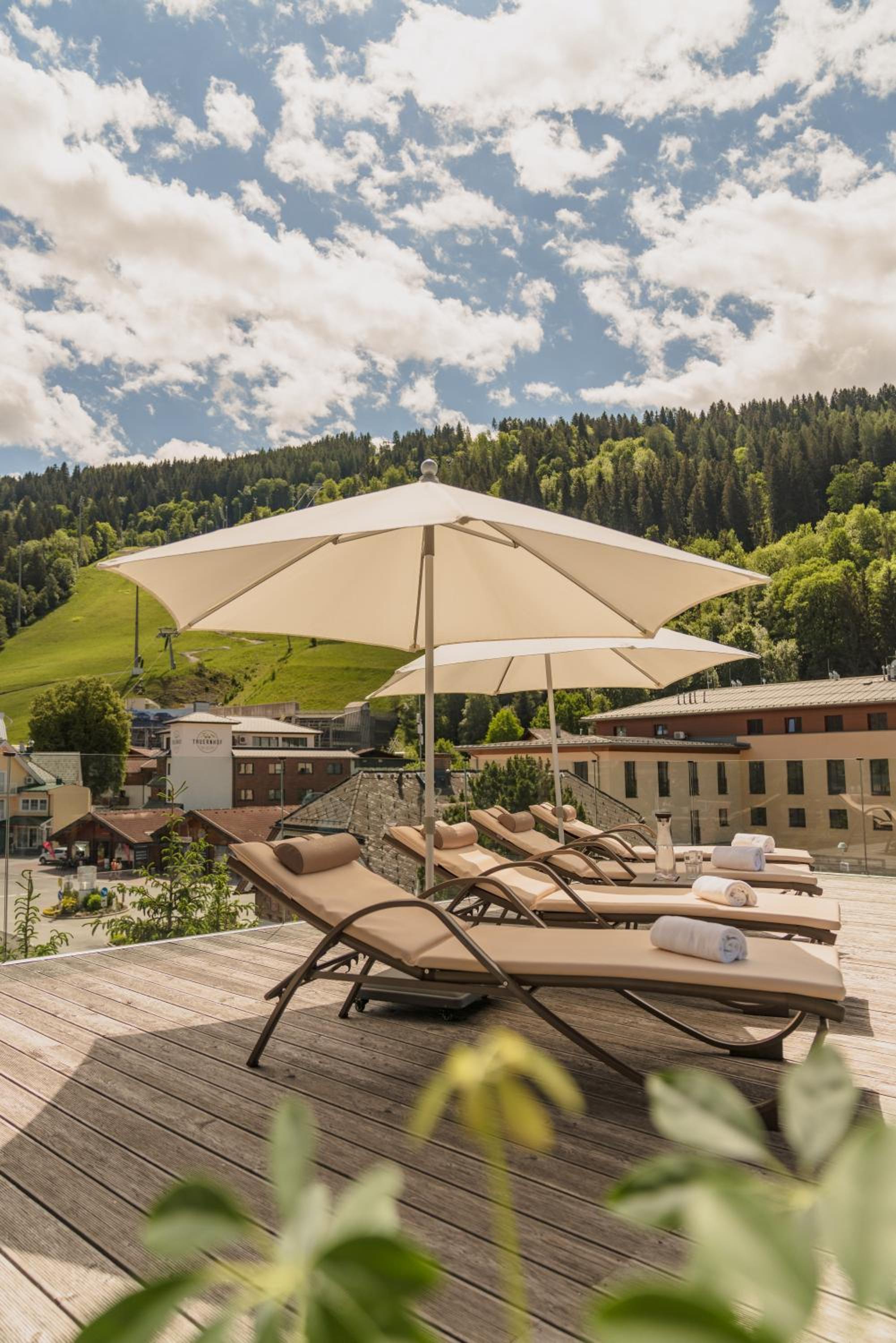 ''die Bergerin'' | Appartements Schladming