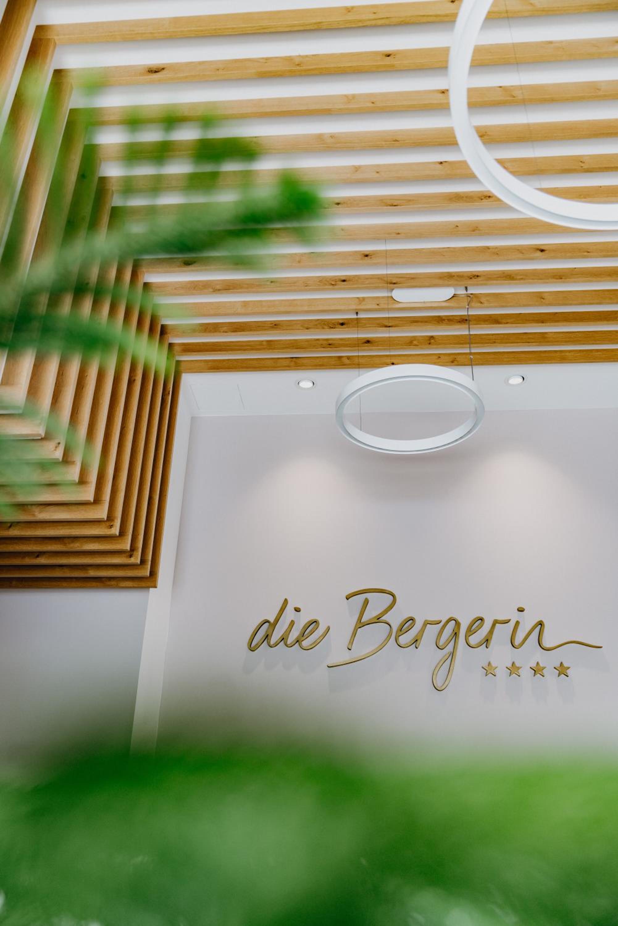 ''die Bergerin'' | Appartements Schladming