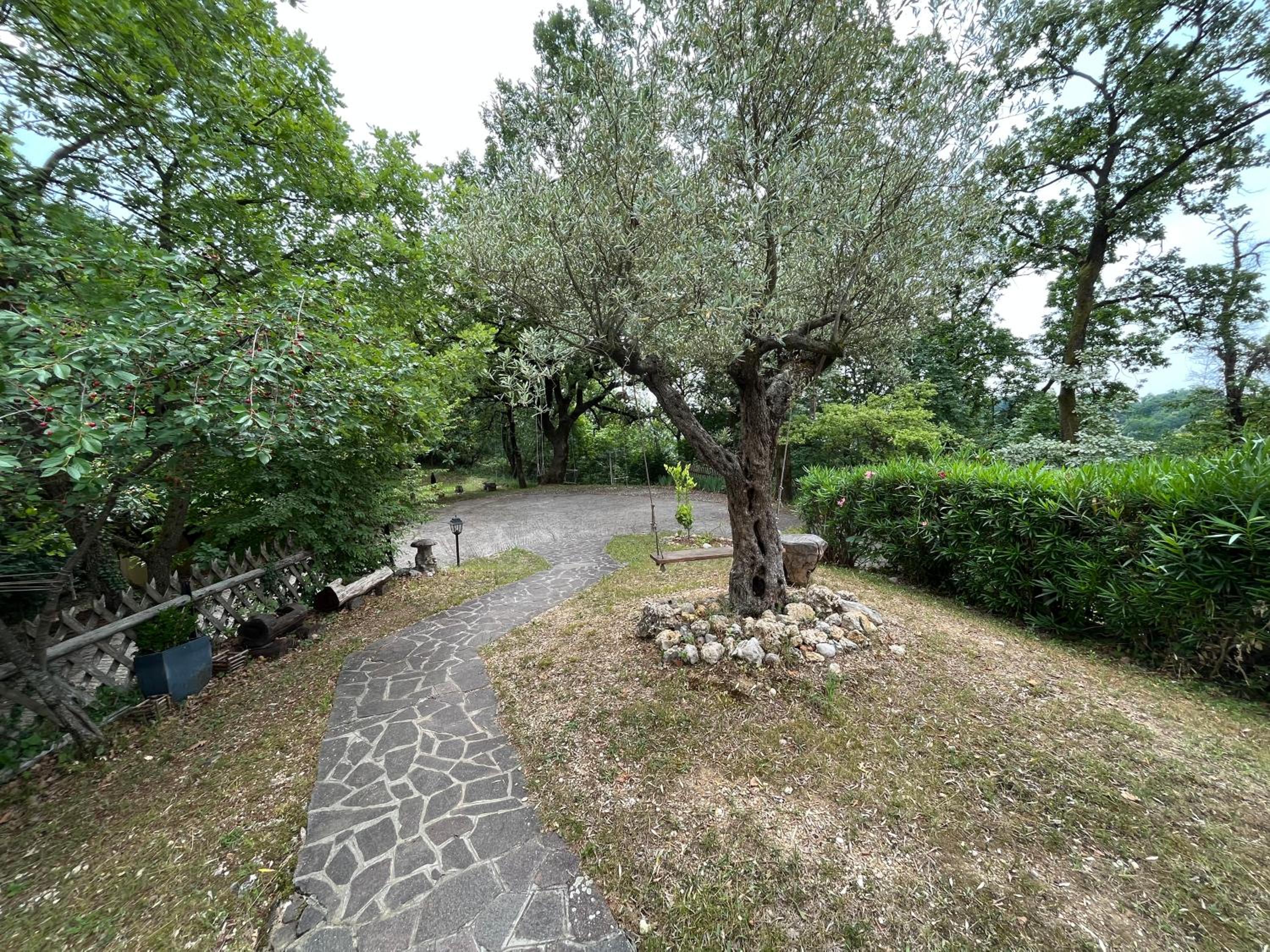 Photo 21