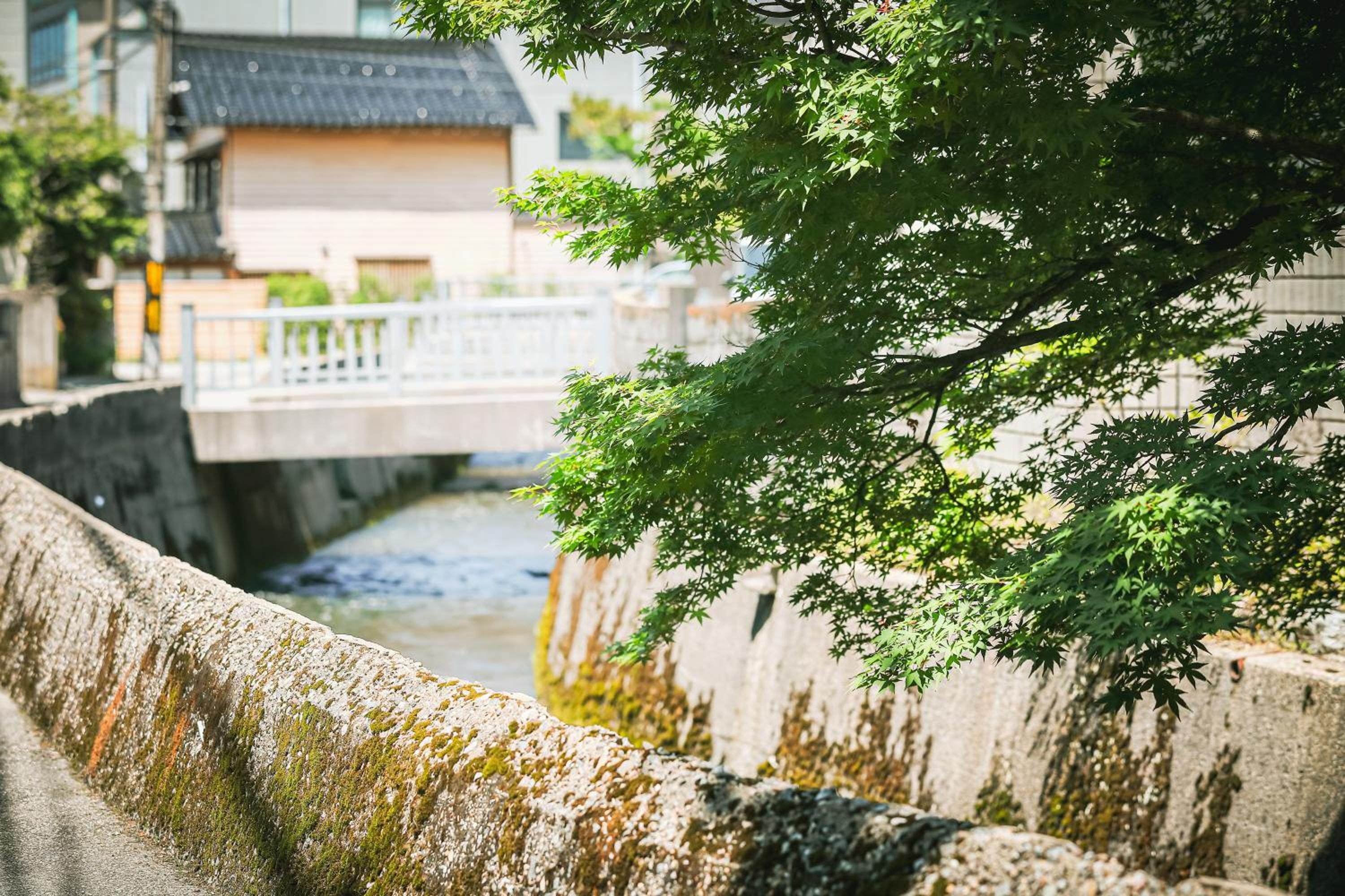 Ibaragi House in Kanazawa, Kanazawa - 10