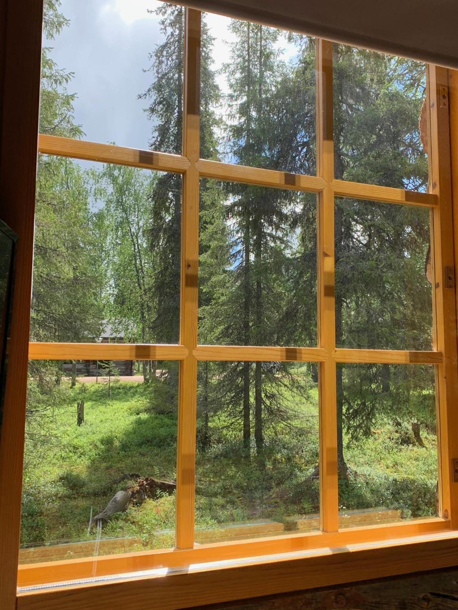 Logwood Chalet view 2