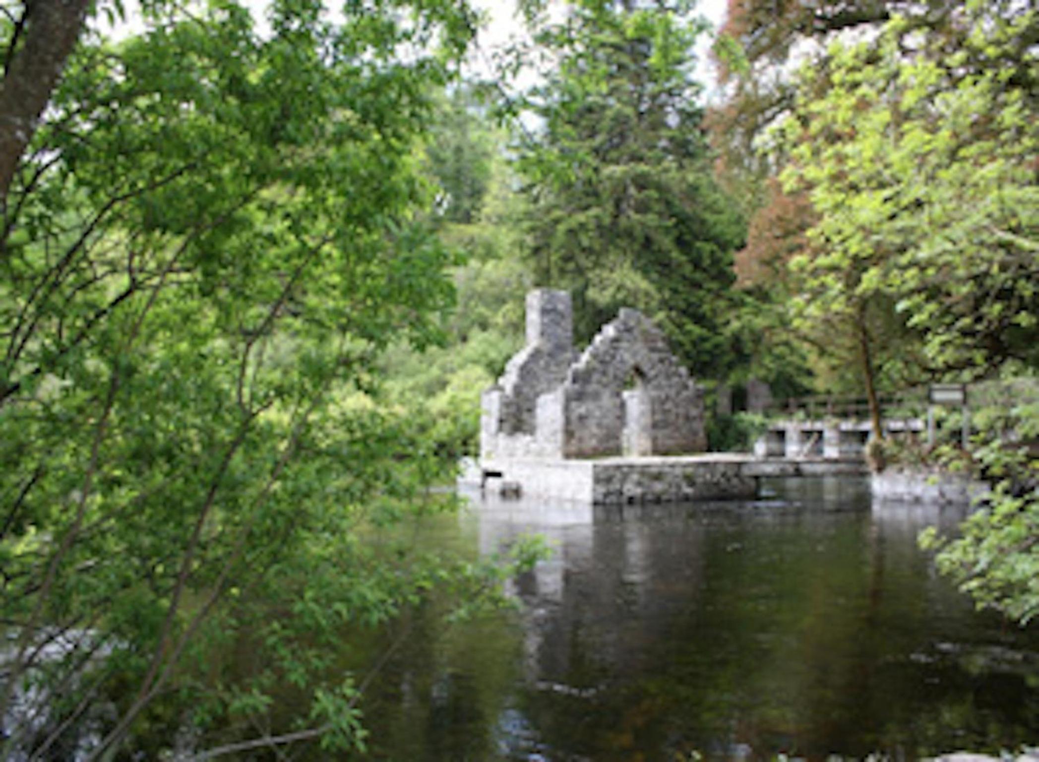 Michaeleen's Manor B&B