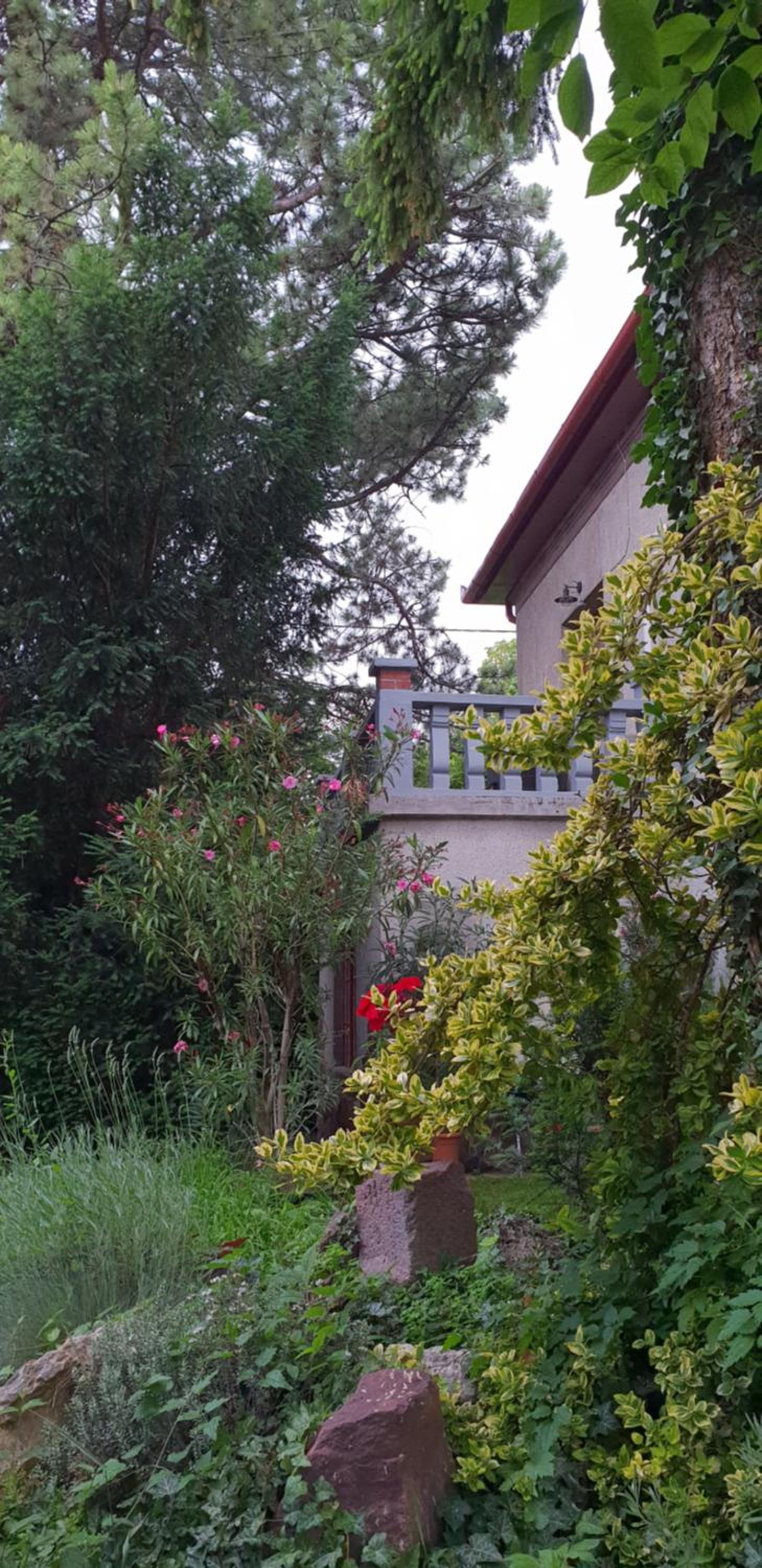 Photo 45
