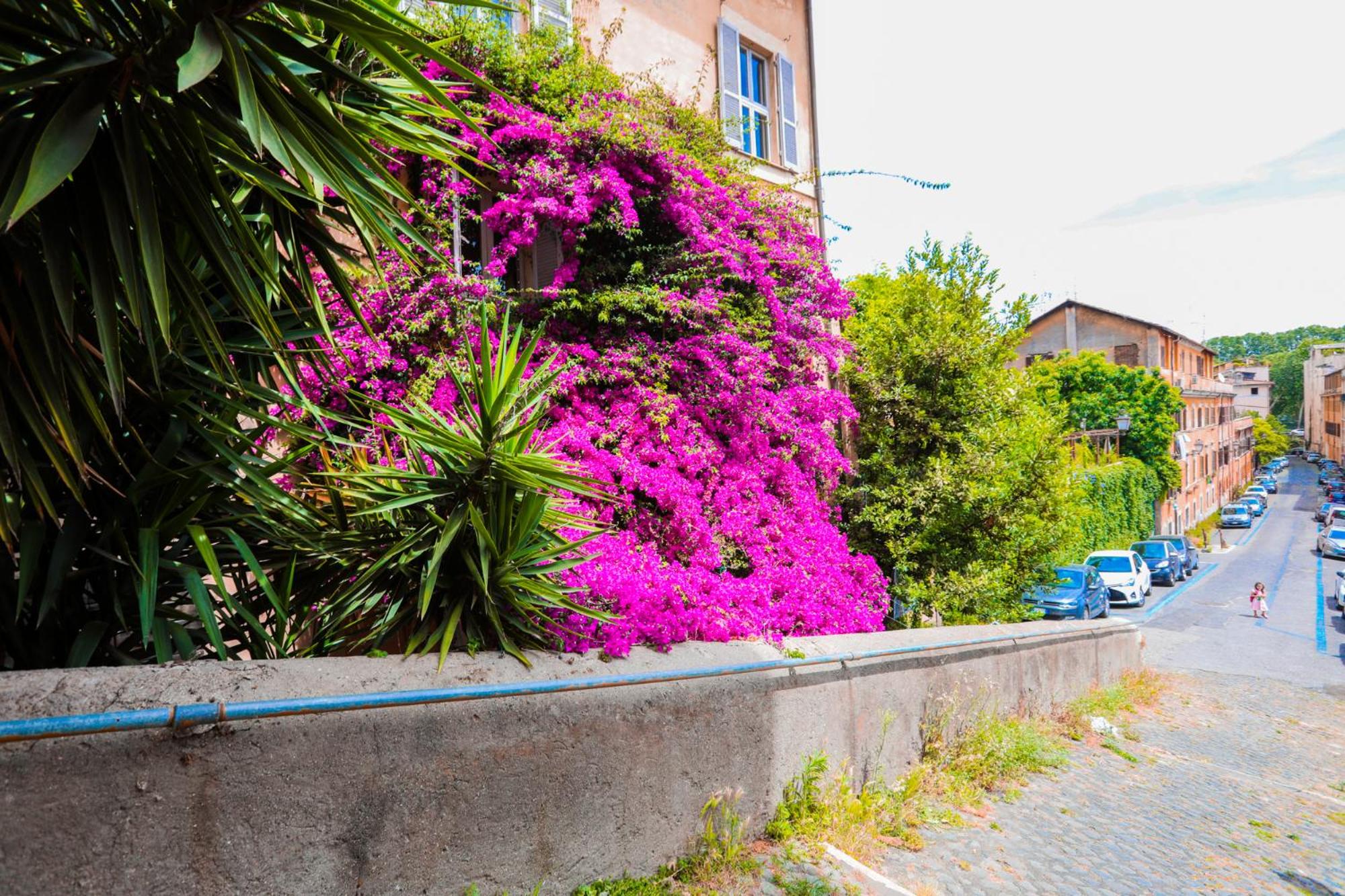 Orti 27 Garden Rome - Trastevere