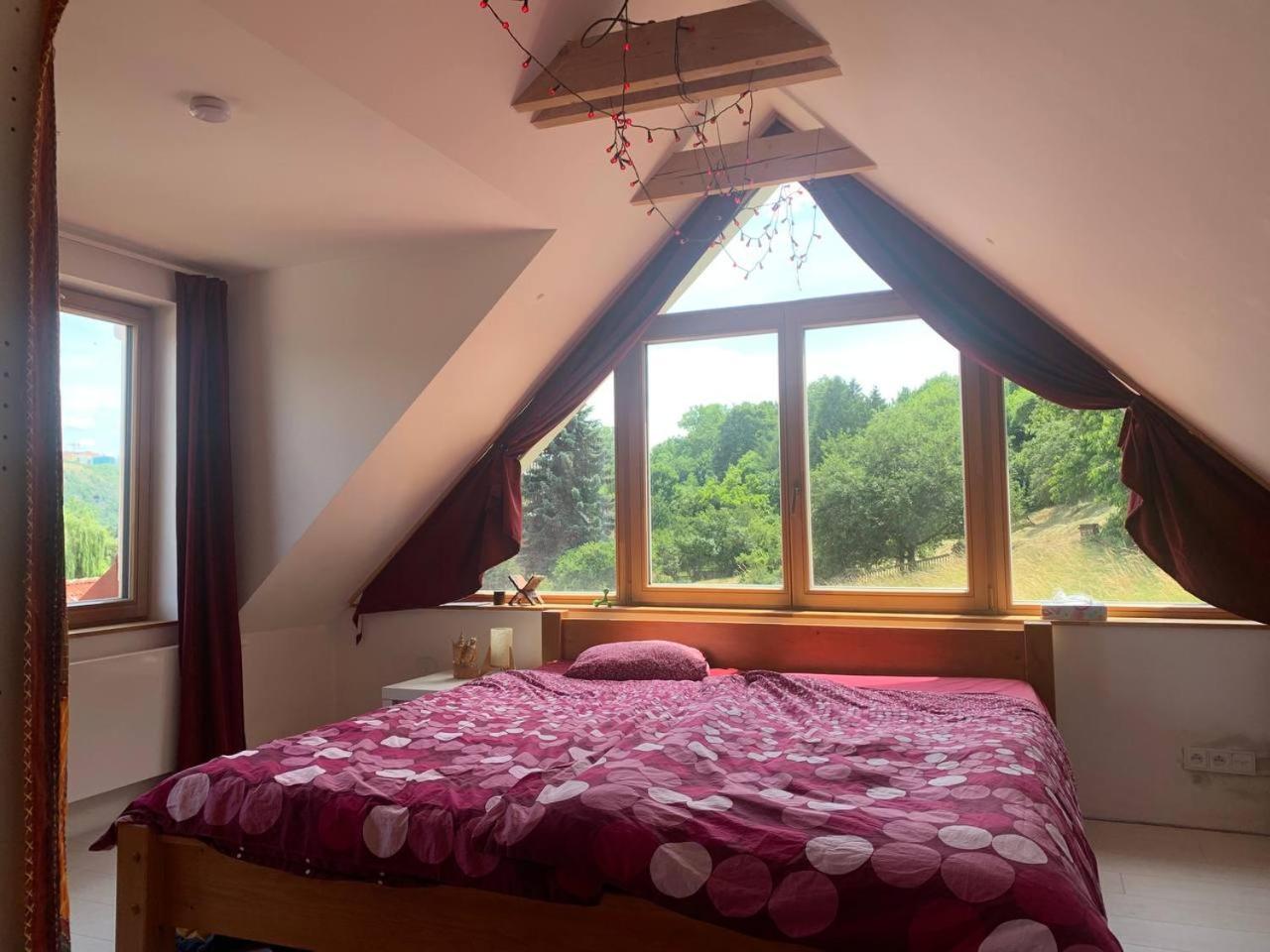 Cosy family house with garden, 12 min from the center