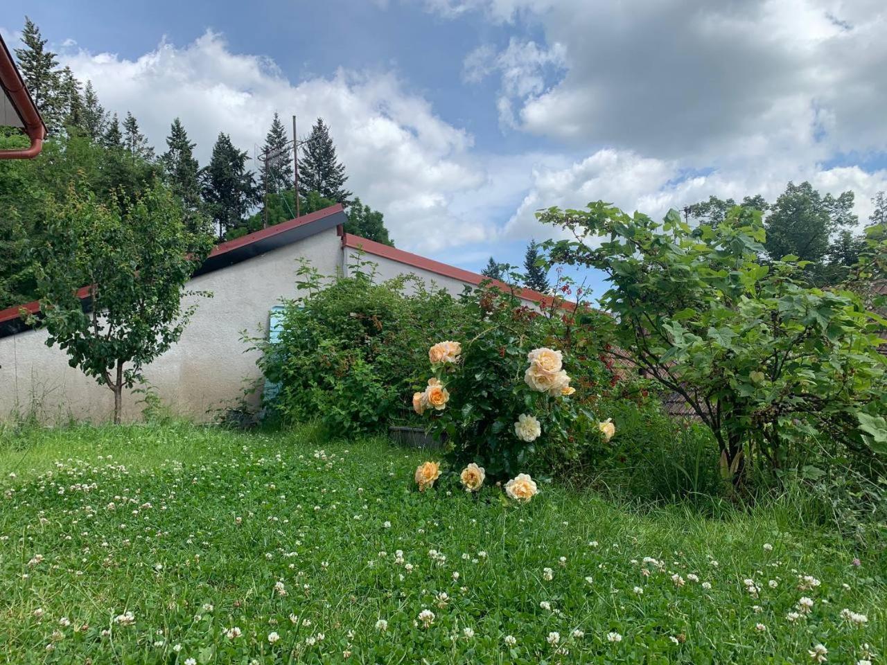 Cosy family house with garden, 12 min from the center