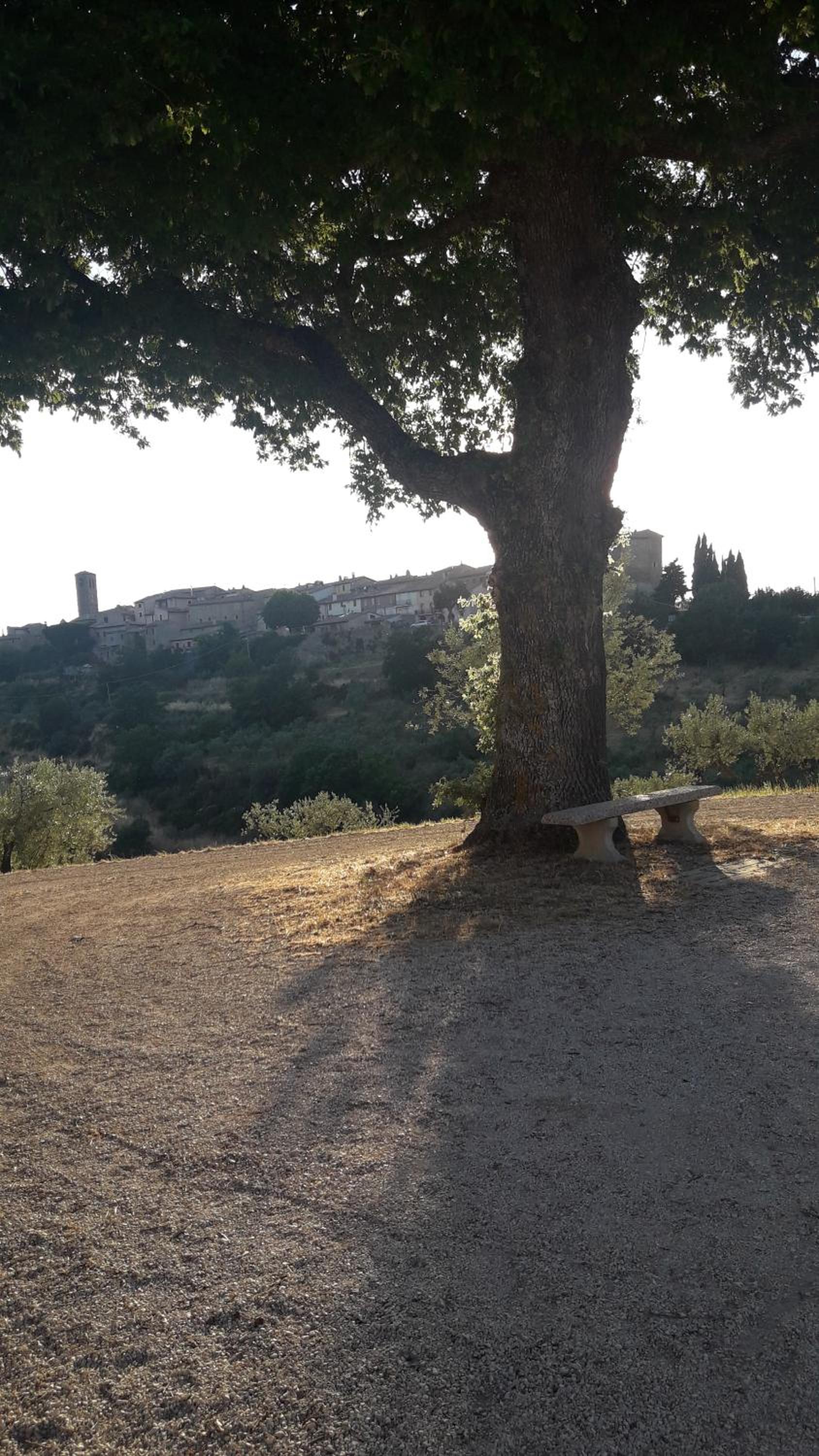 Poggio La Grognola photo 2