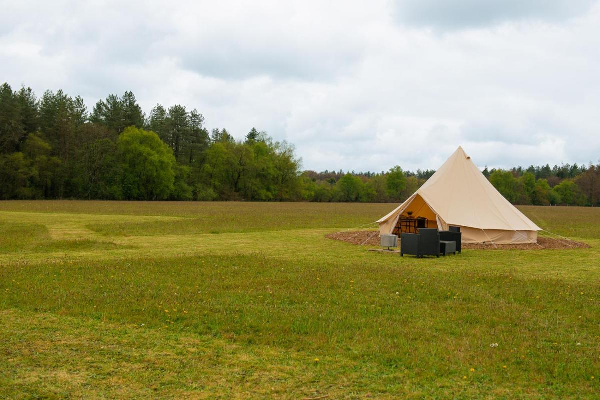 Forest Edge Glamping view 5