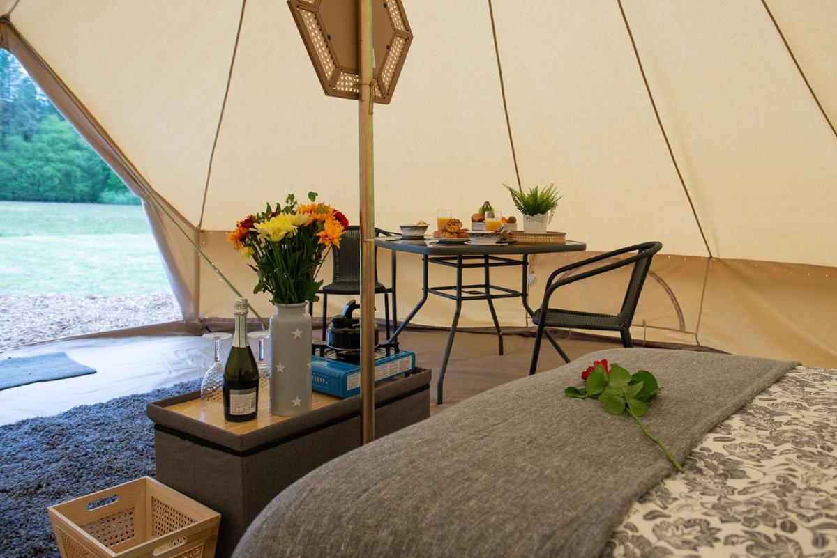 Forest Edge Glamping view 3