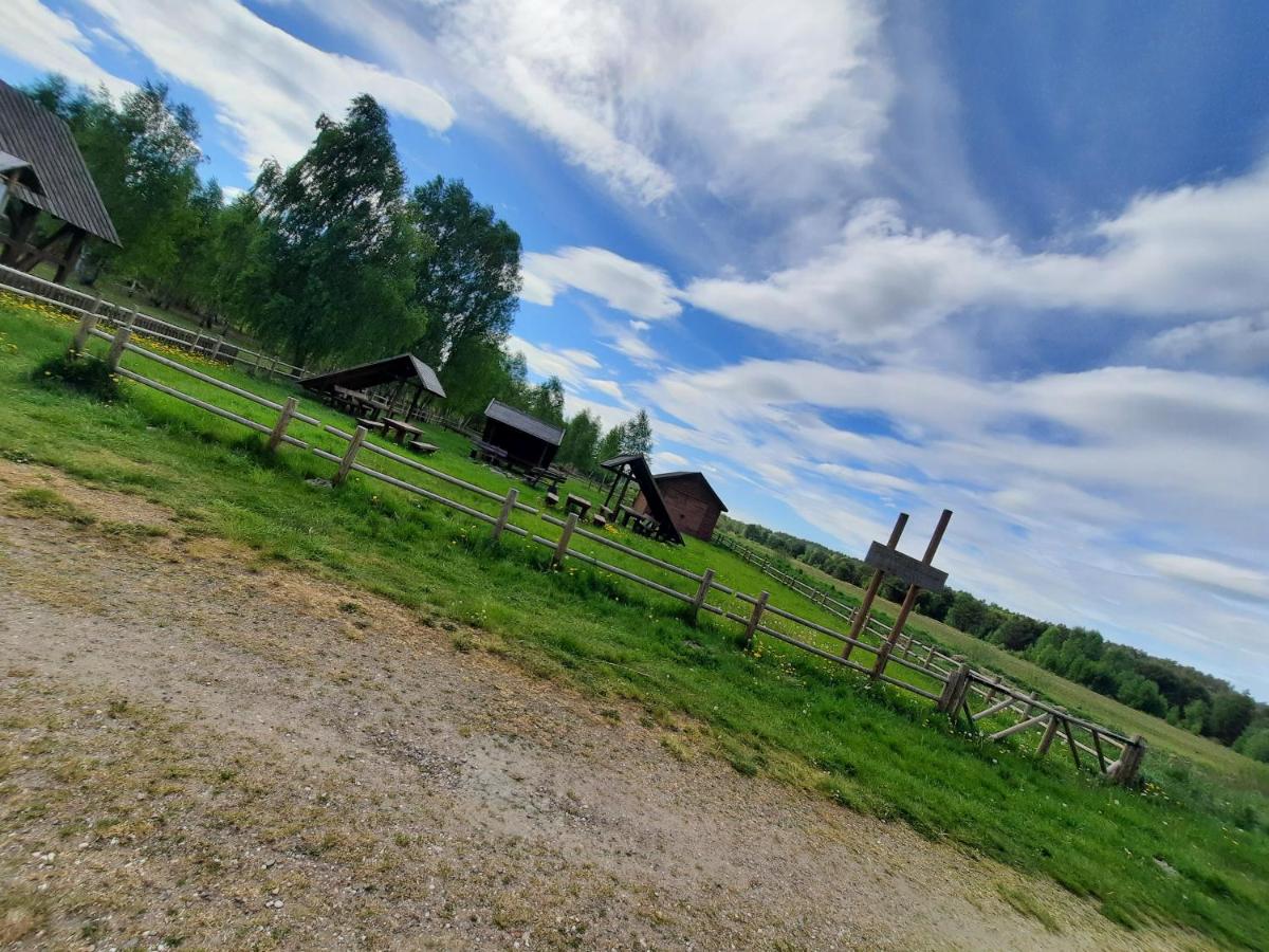 Photo 45