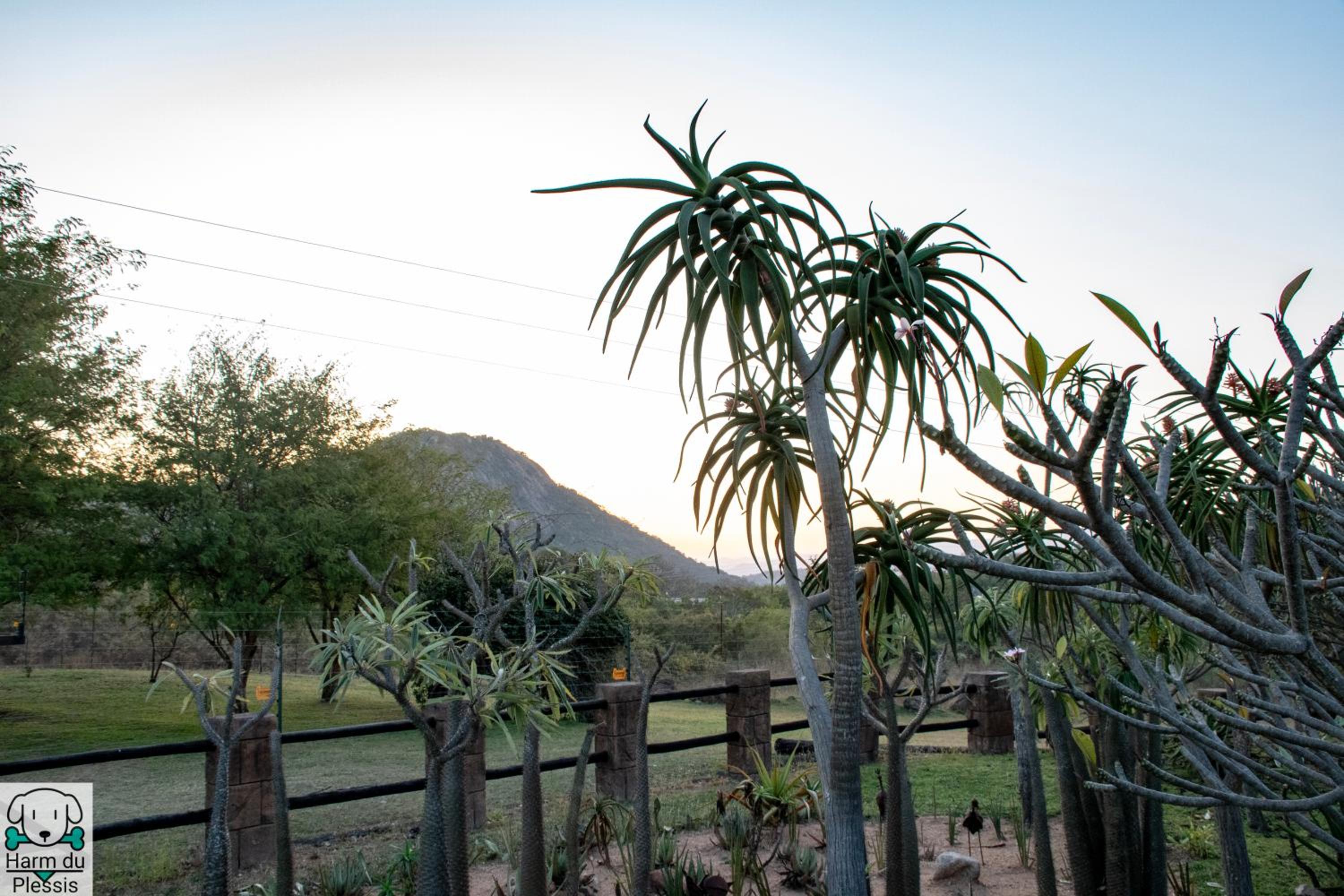 Tipperary Game Lodge - Mbombela view 3