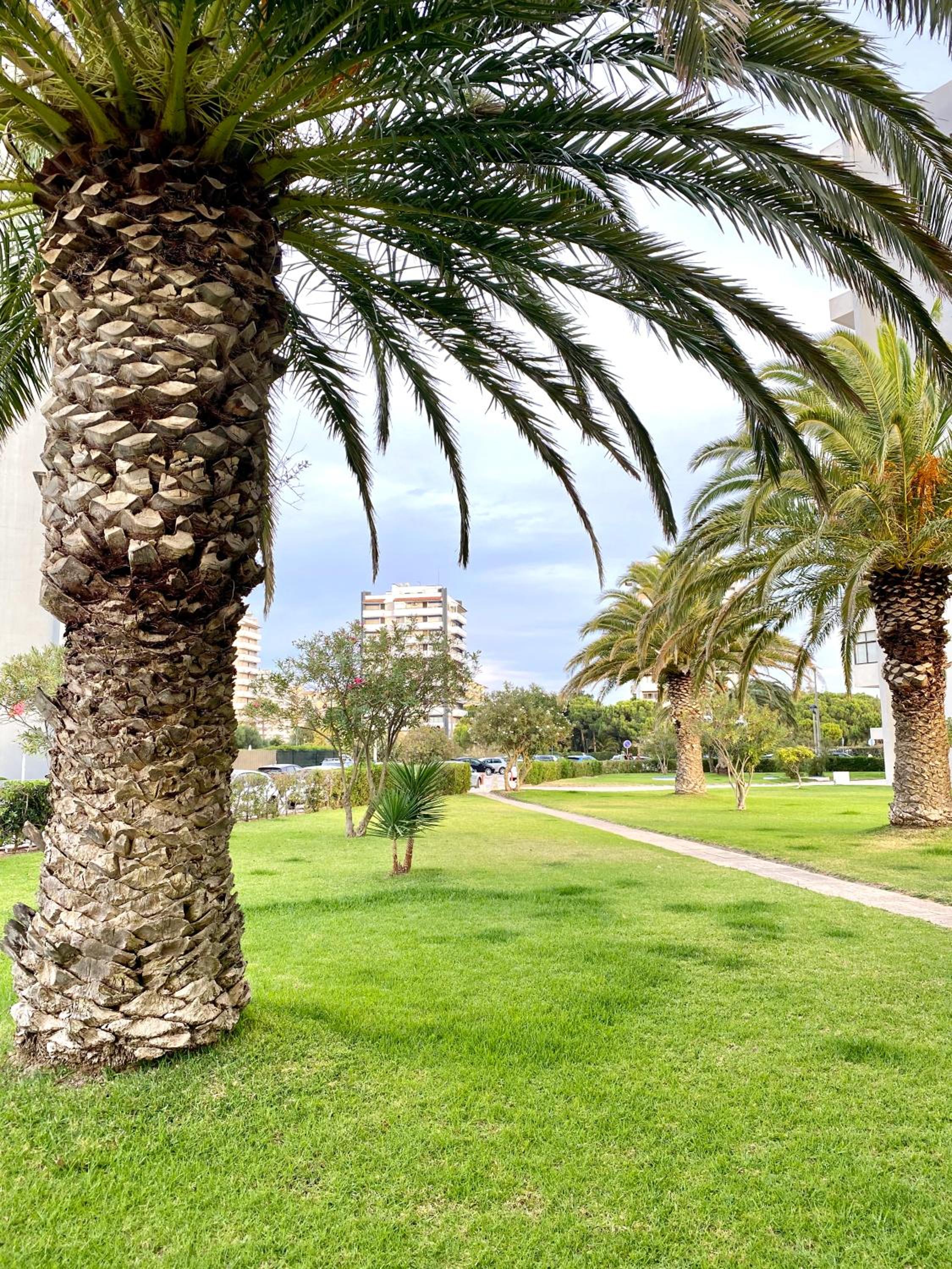 Alvor Seven view 5