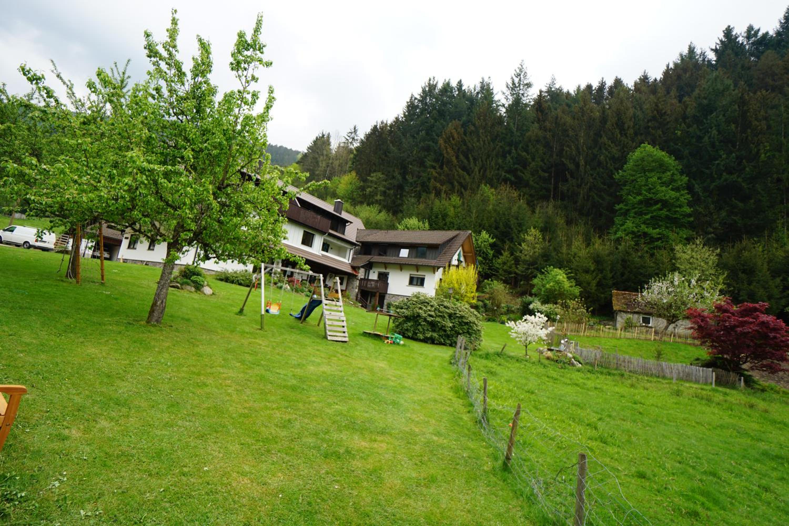 Hörnleberg - Stubenhof, Black Forest view 5