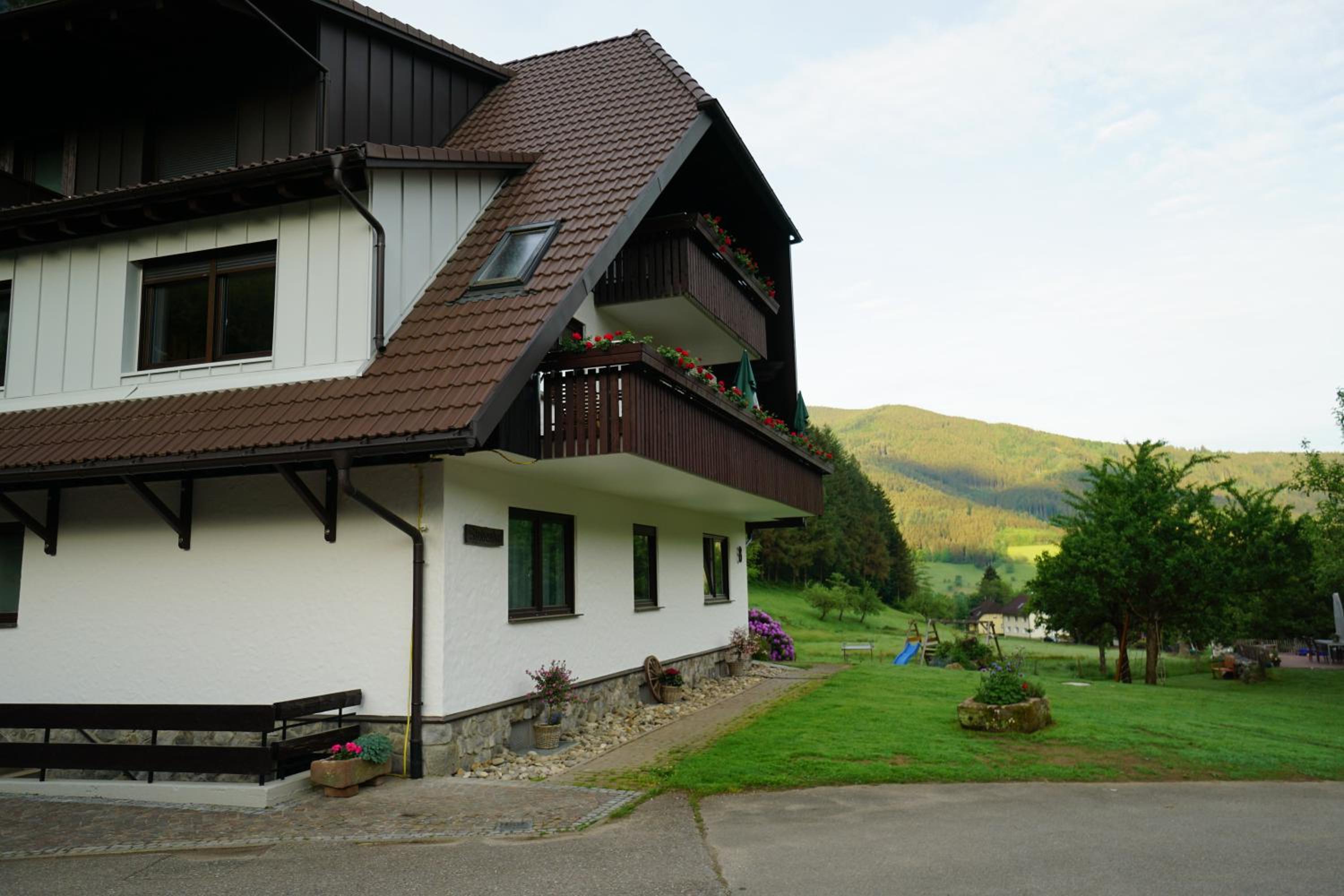 Photo 6