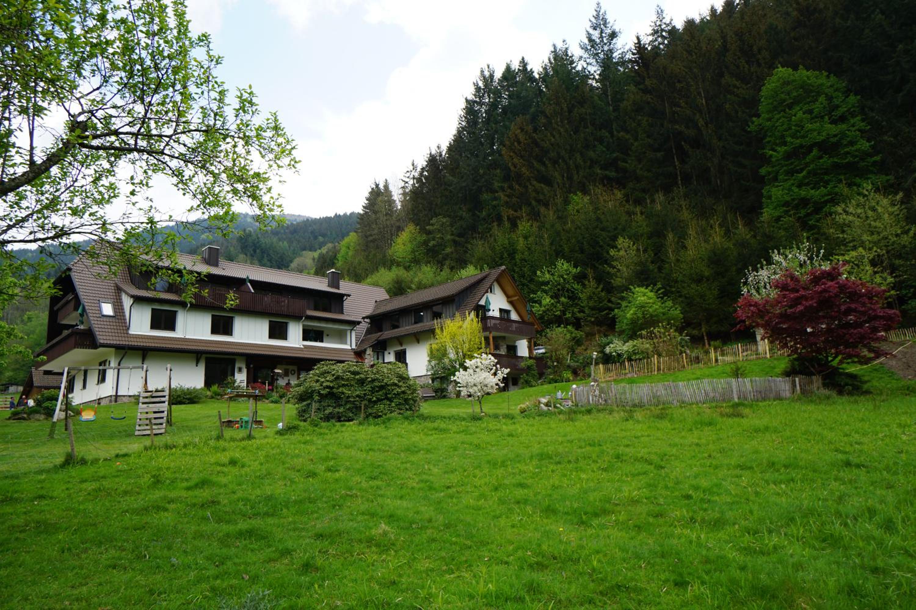 Photo 11