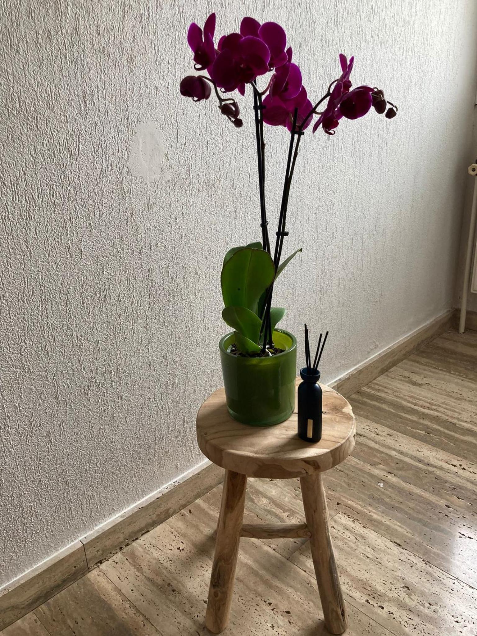 Rustig appartement in het groen met terras