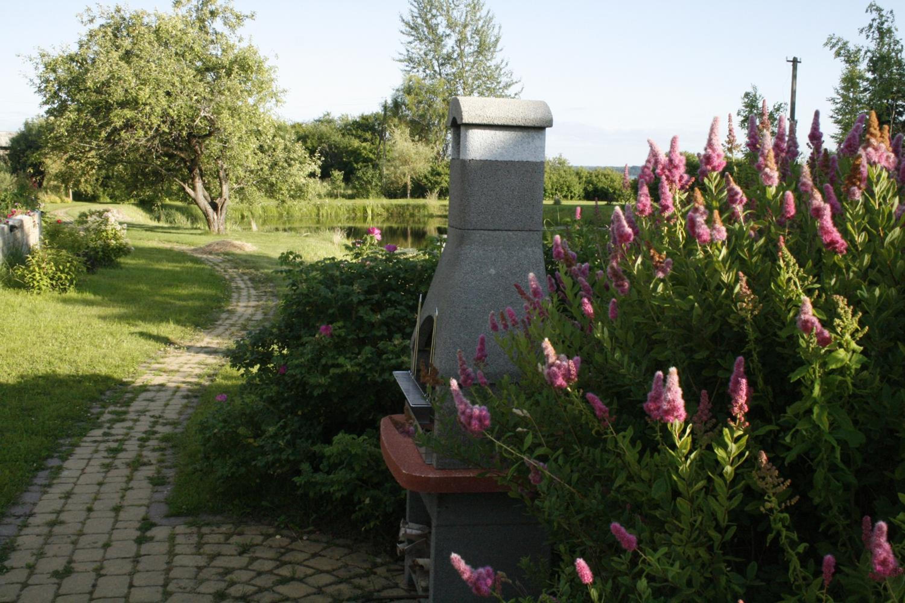 Photo 12