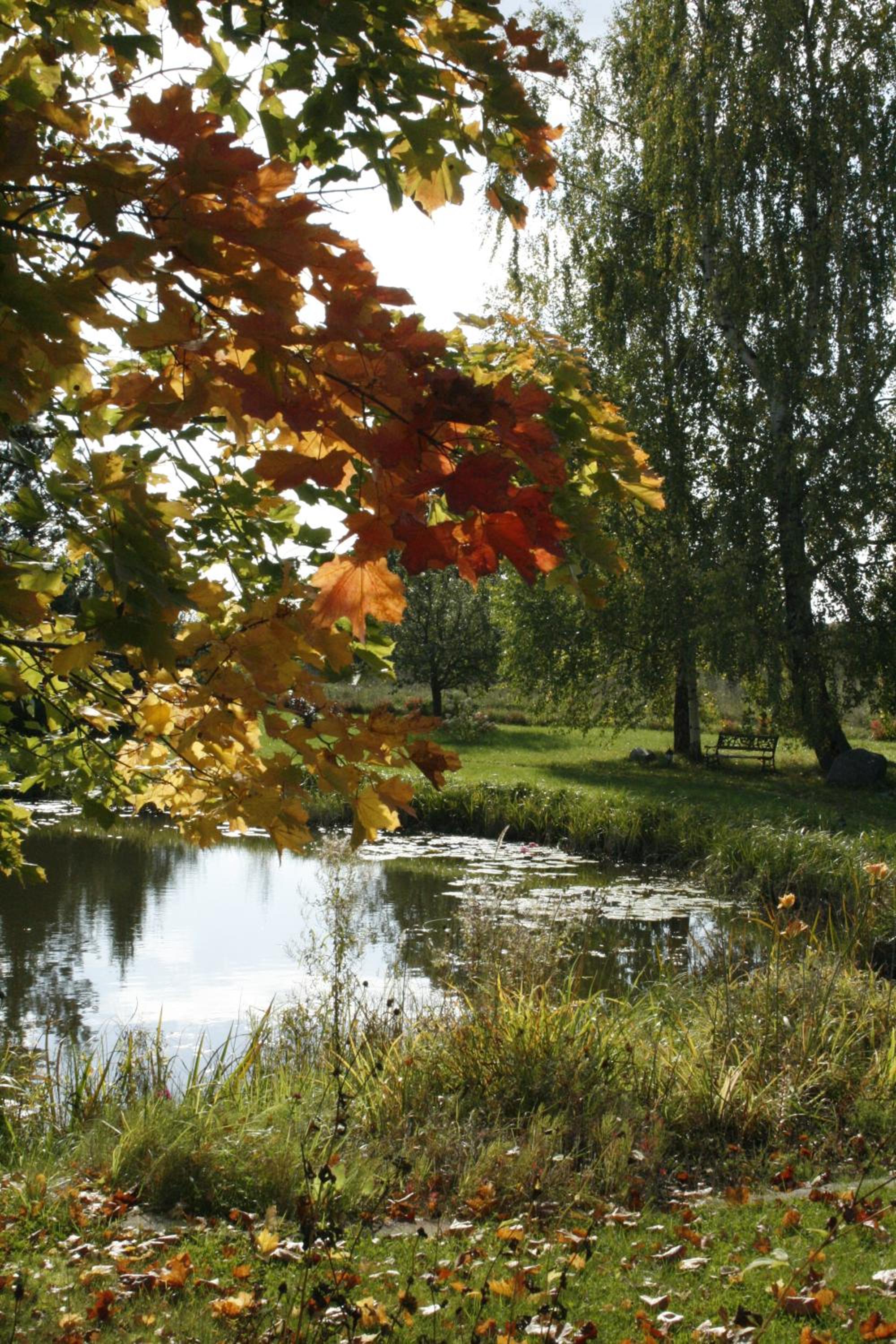 Photo 14