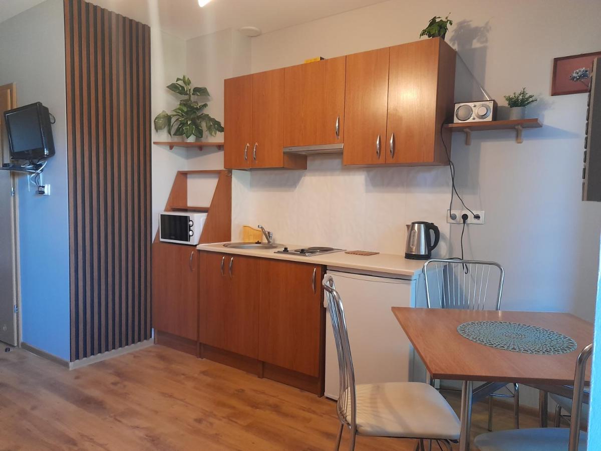 Apartament pod Dębami view 4