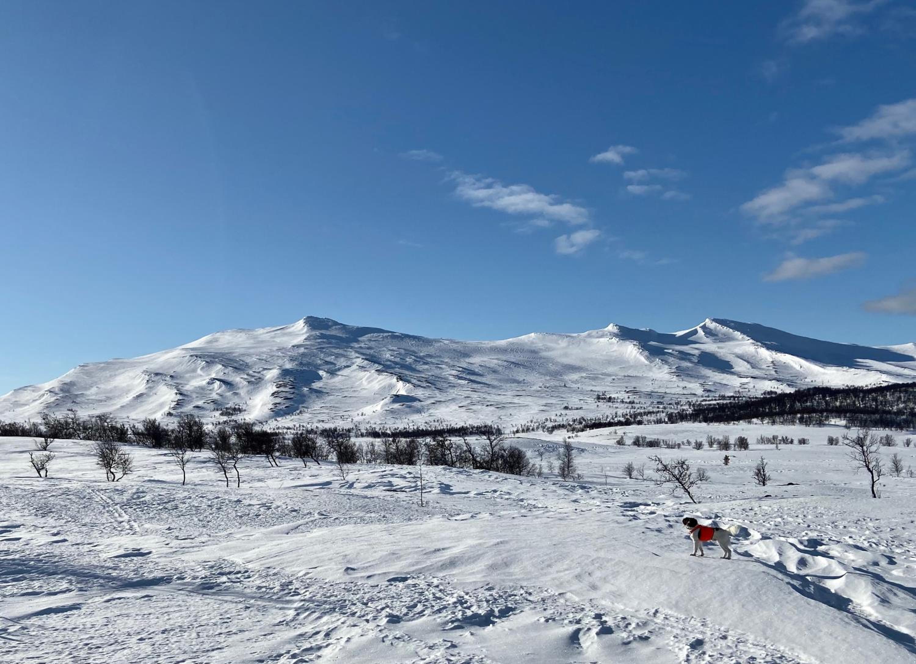 Fjällhus i Funäsdalen
