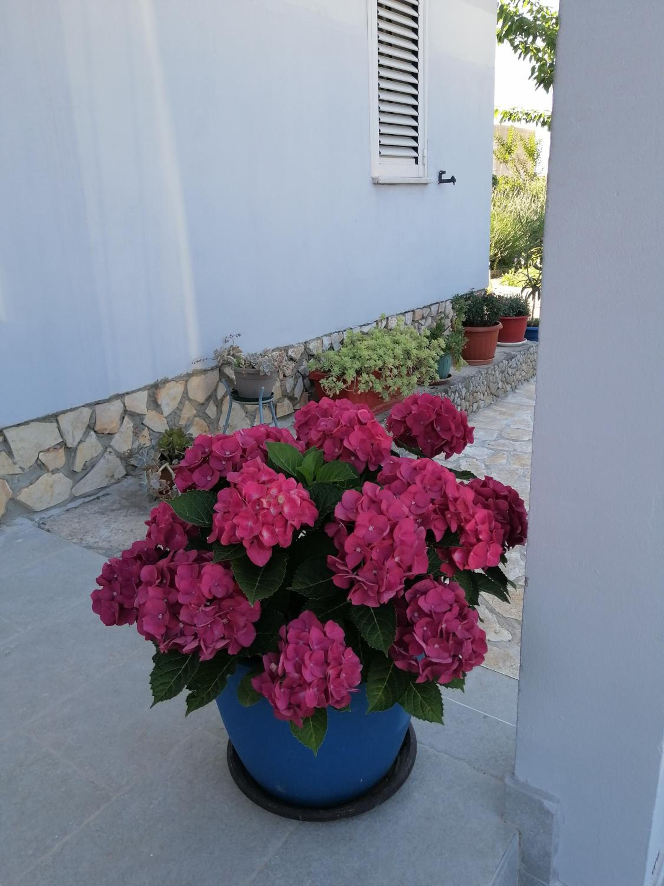 APARTMAN ANTONIJA view 4