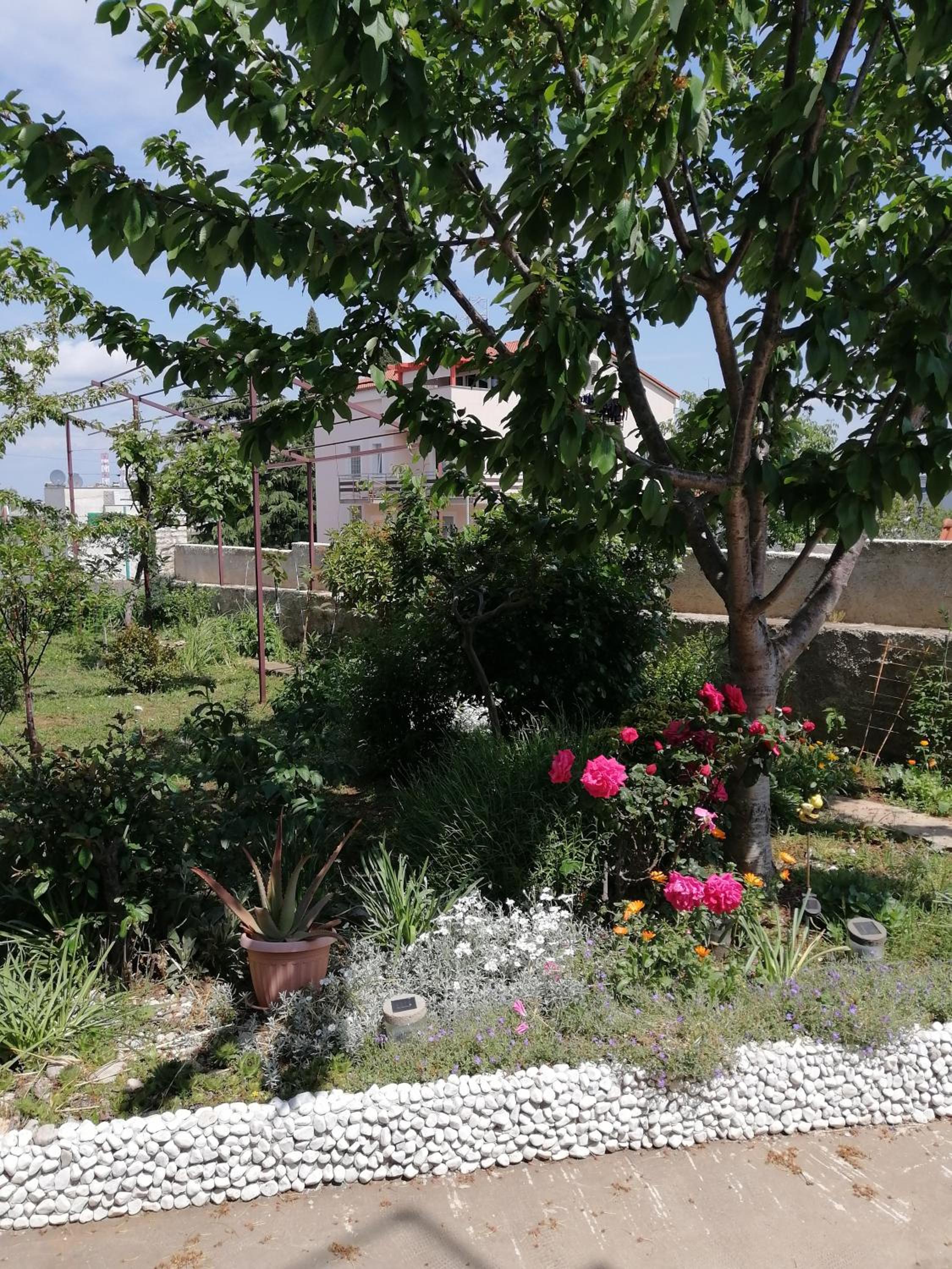 APARTMAN ANTONIJA view 5
