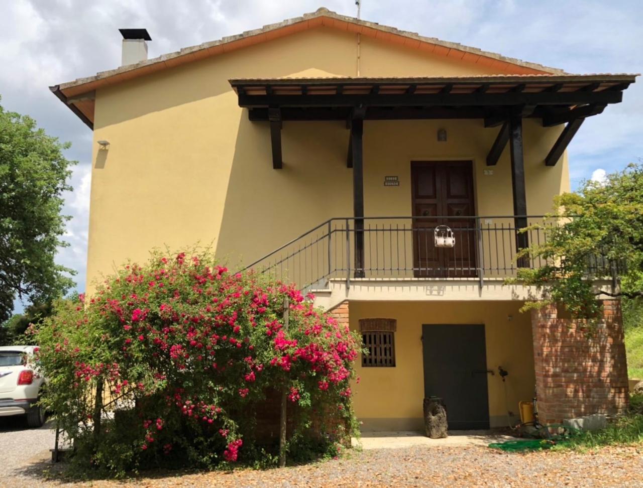 Didi House