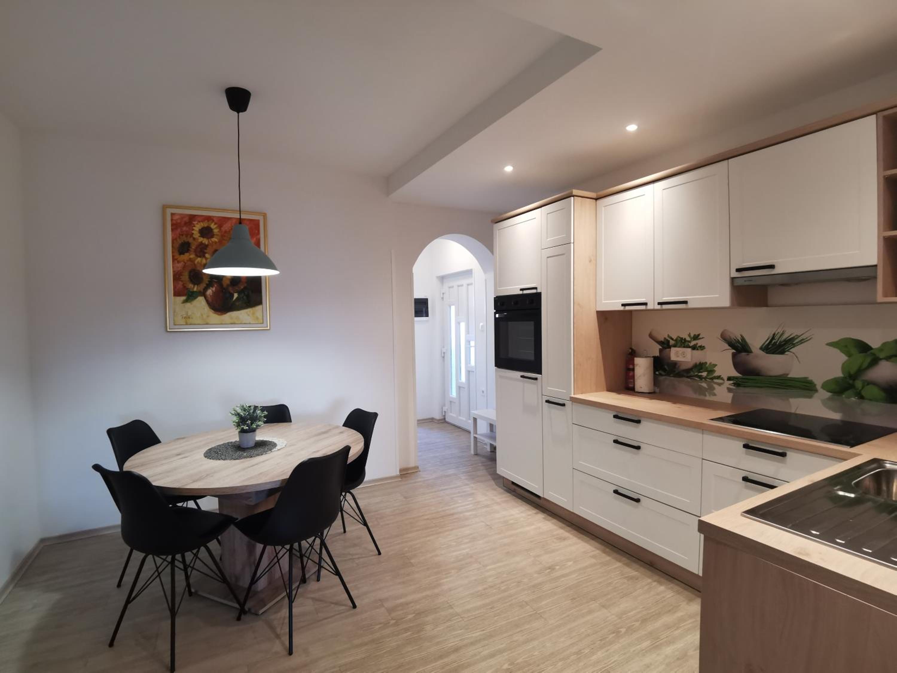 Apartmaji Vila Antonia view 3