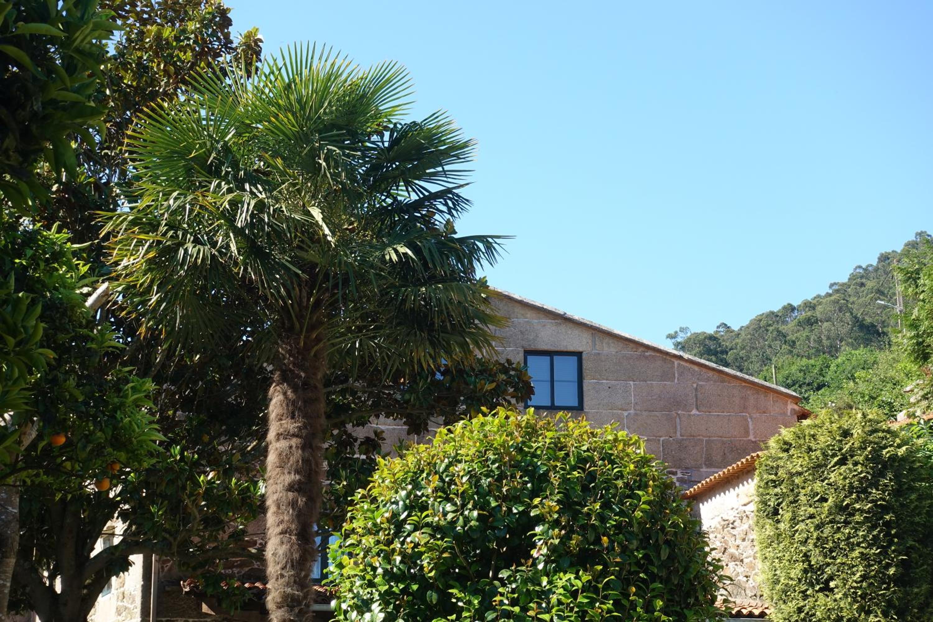 Casa Videira - Hotel rural cerca del mar