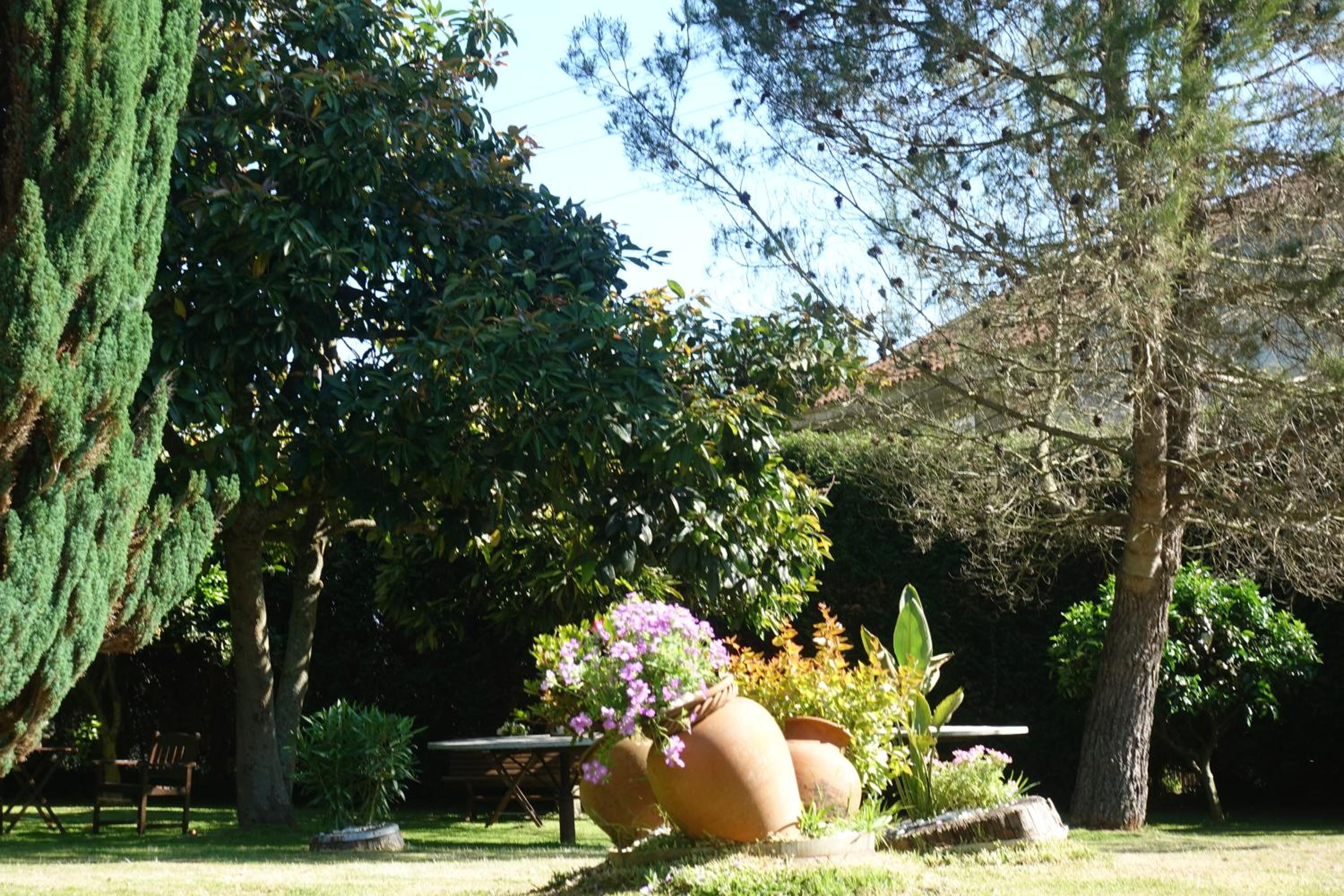 Casa Videira - Hotel rural cerca del mar
