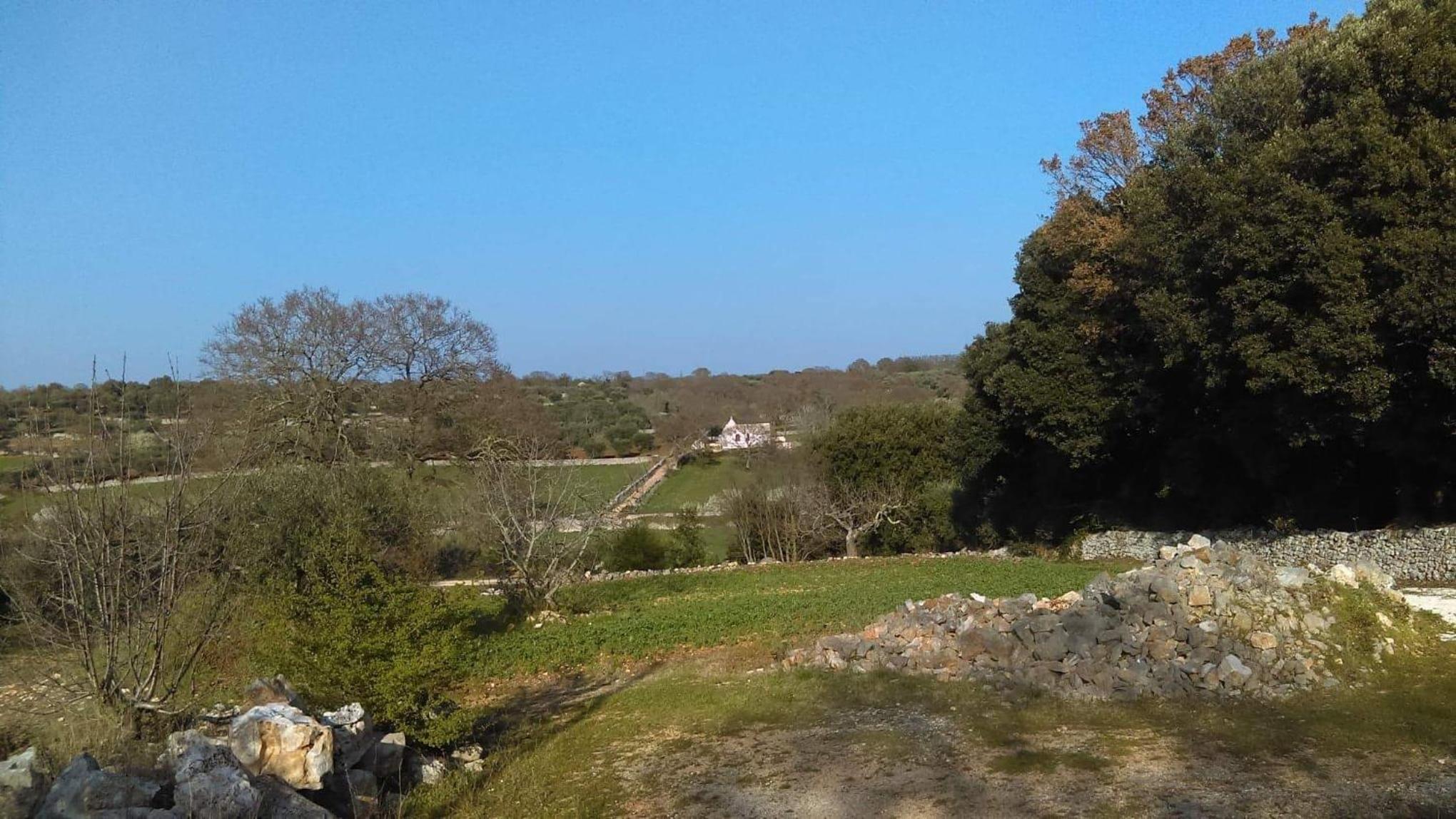 Historic Trullo Holiday Home in Puglia view 3