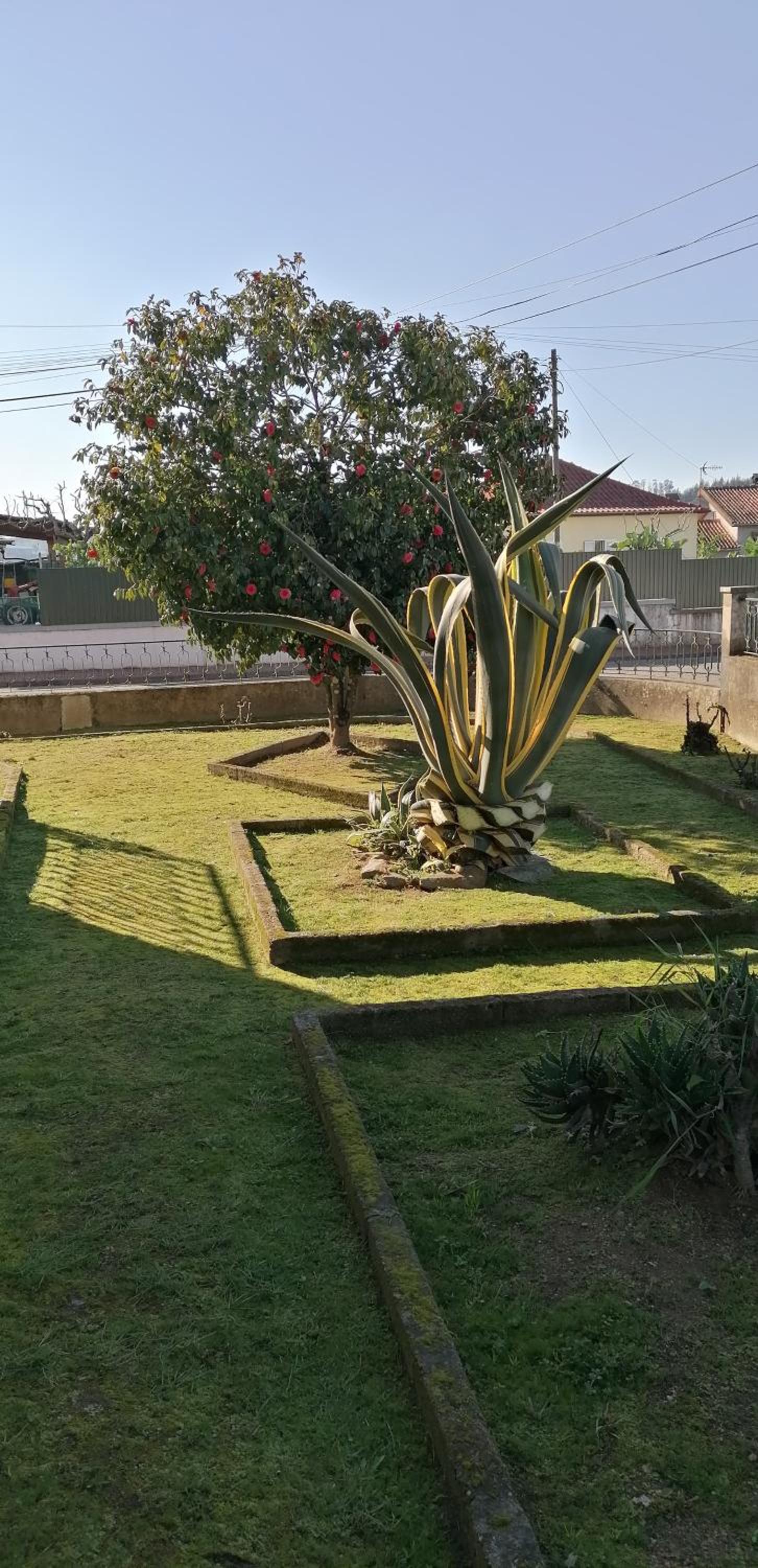 Moradia santa comba view 3