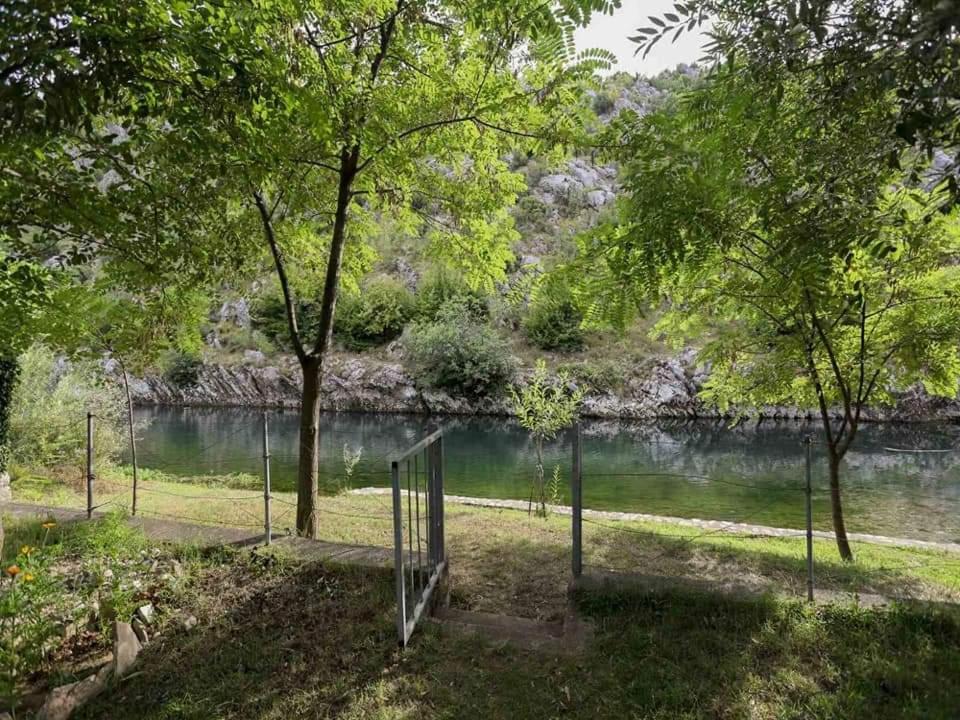 Apartman Maida view 4