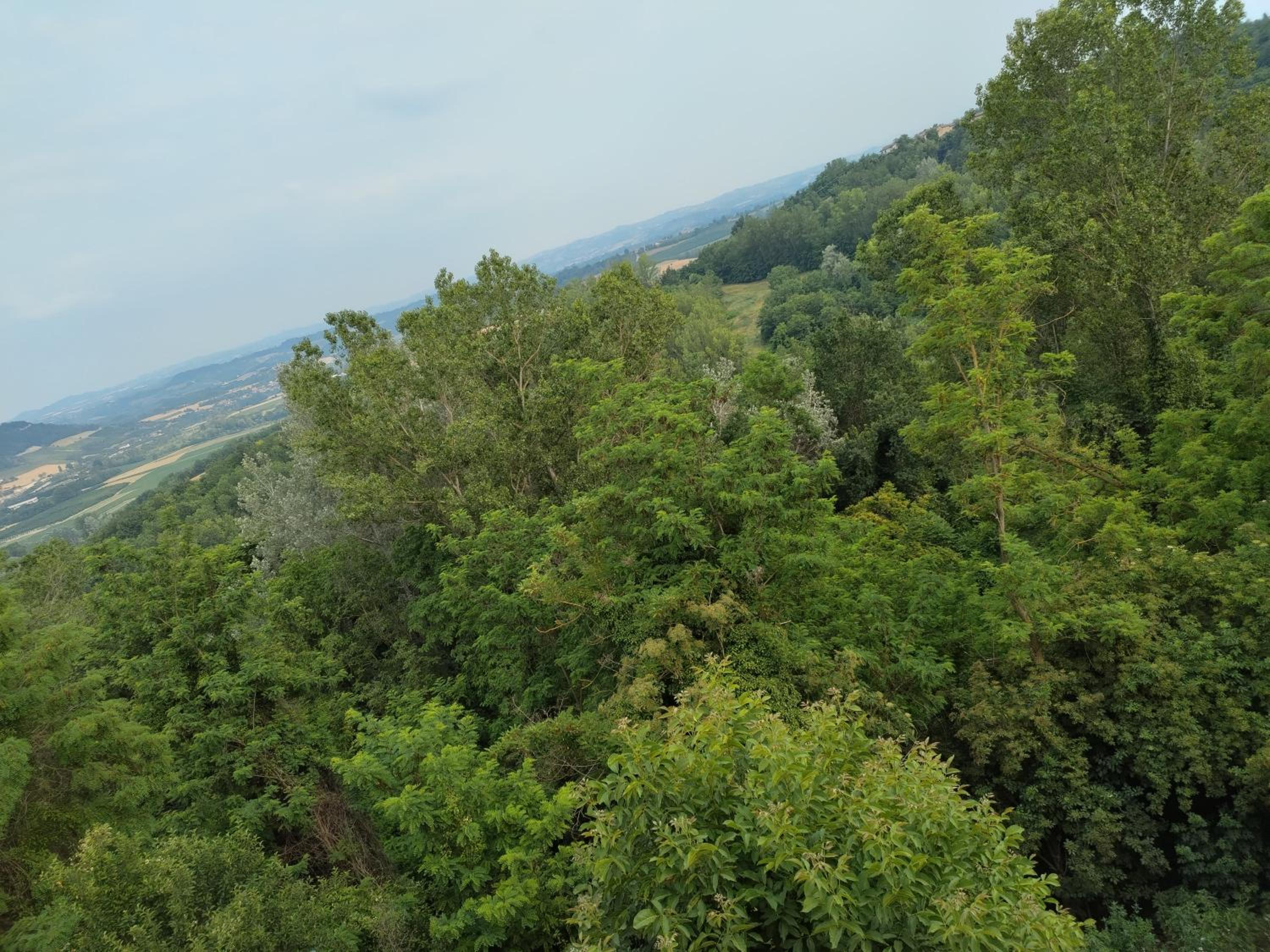 Il Balcone di Napoleone view 3