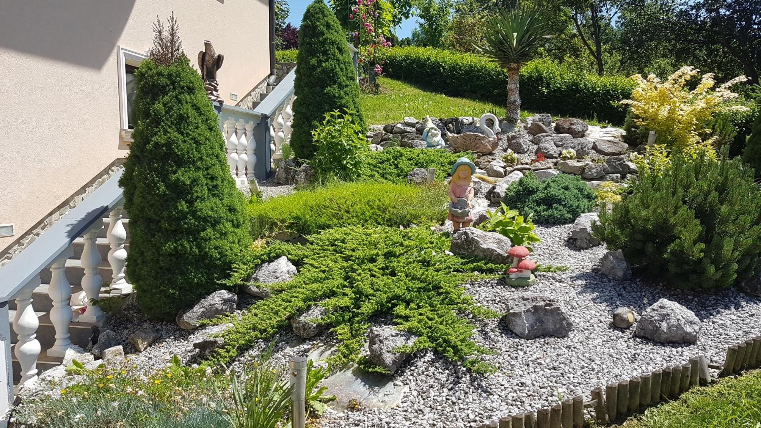 Apartman Zeko view 5