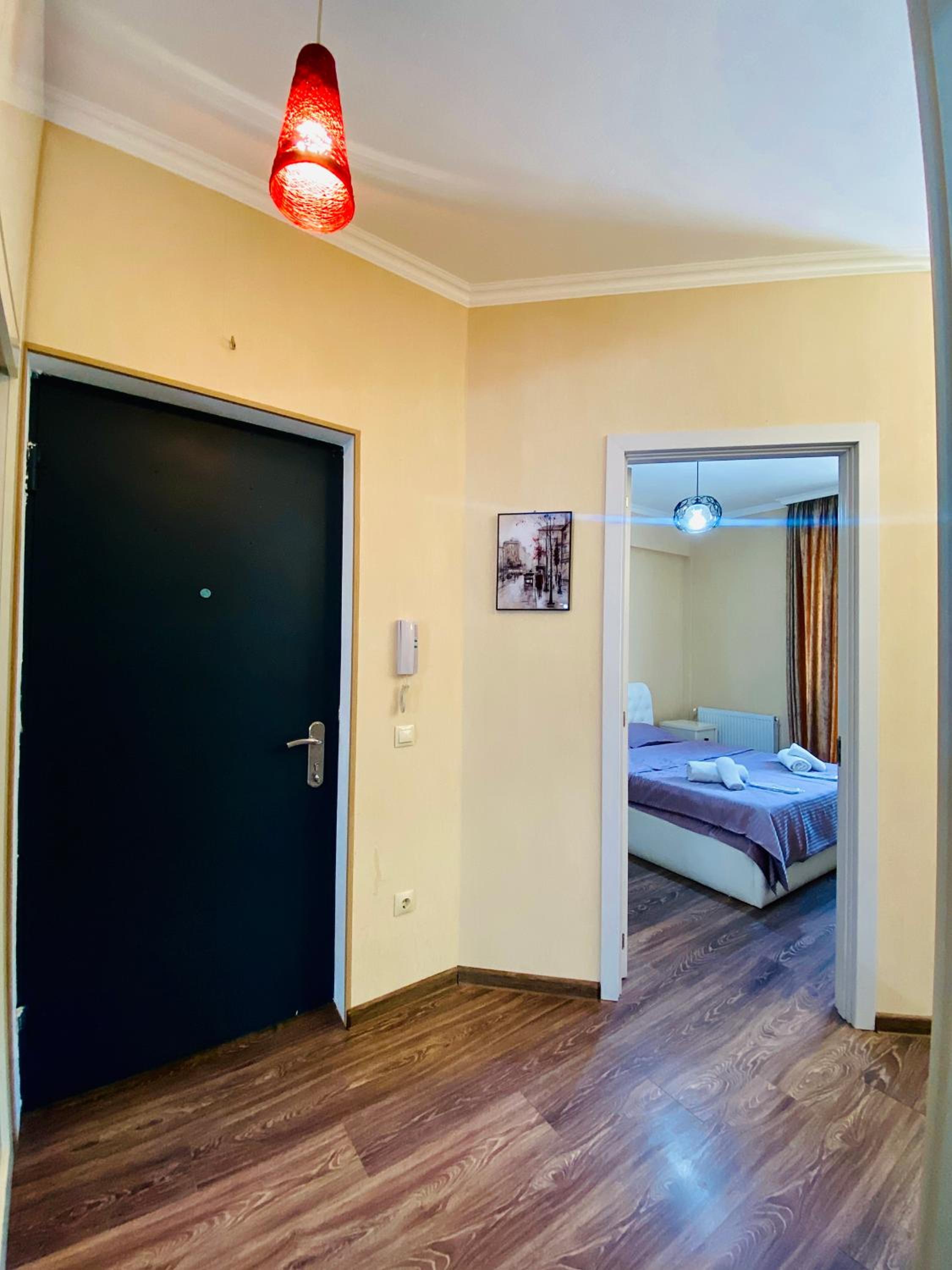 Fully-furnished luxury apartment hosted by Beka view 2