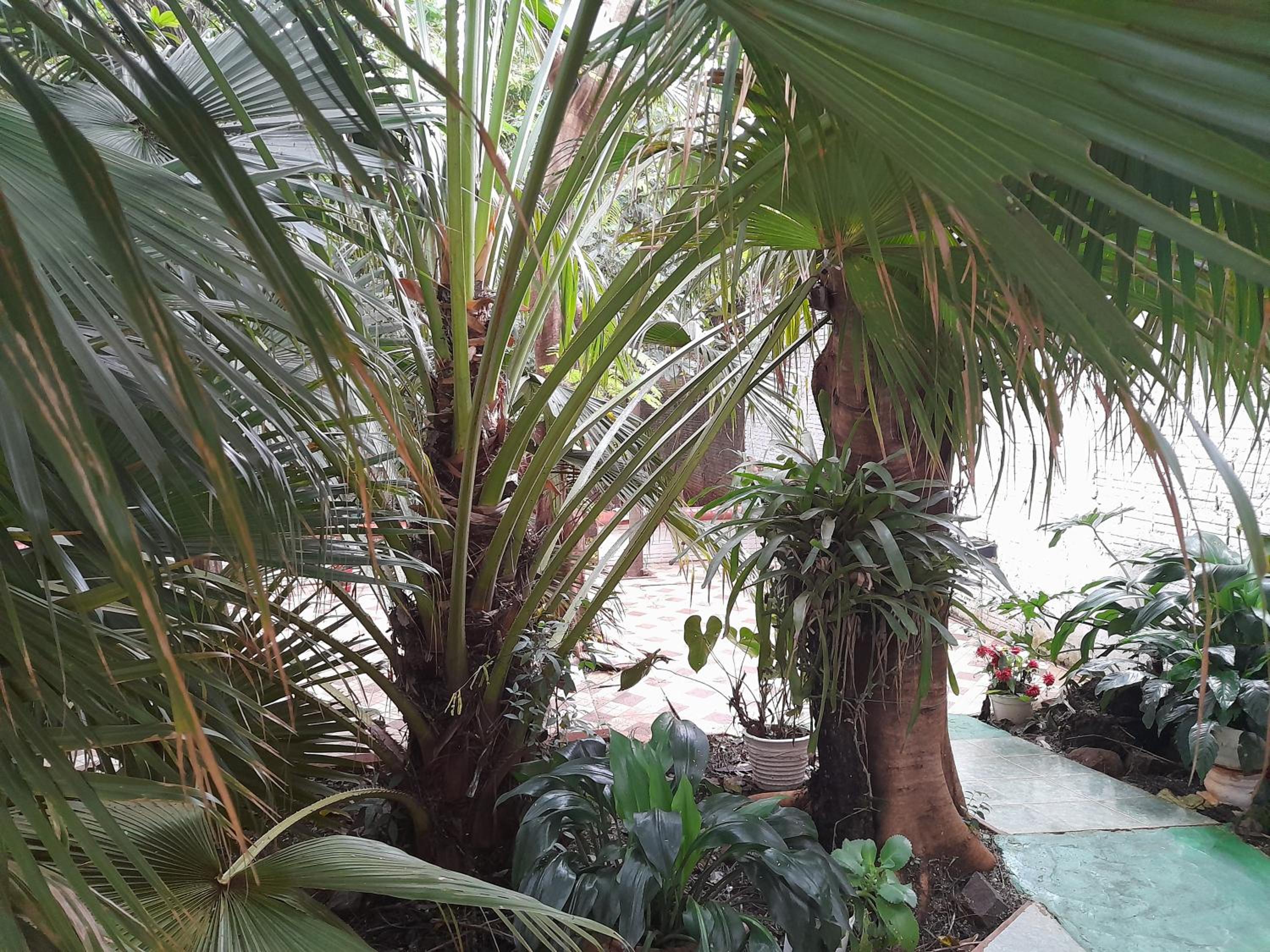Alojamiento El Bosque view 3
