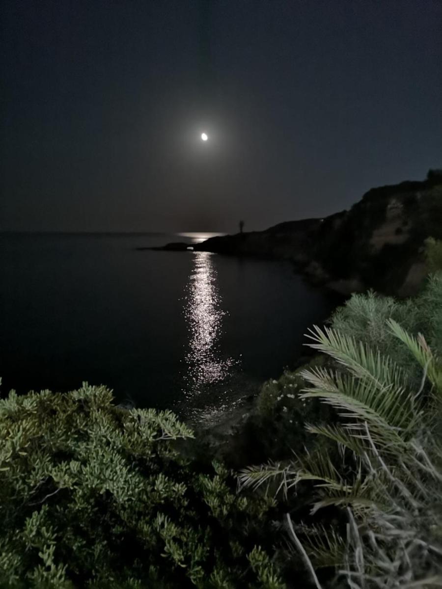 Summer Paradise view 3