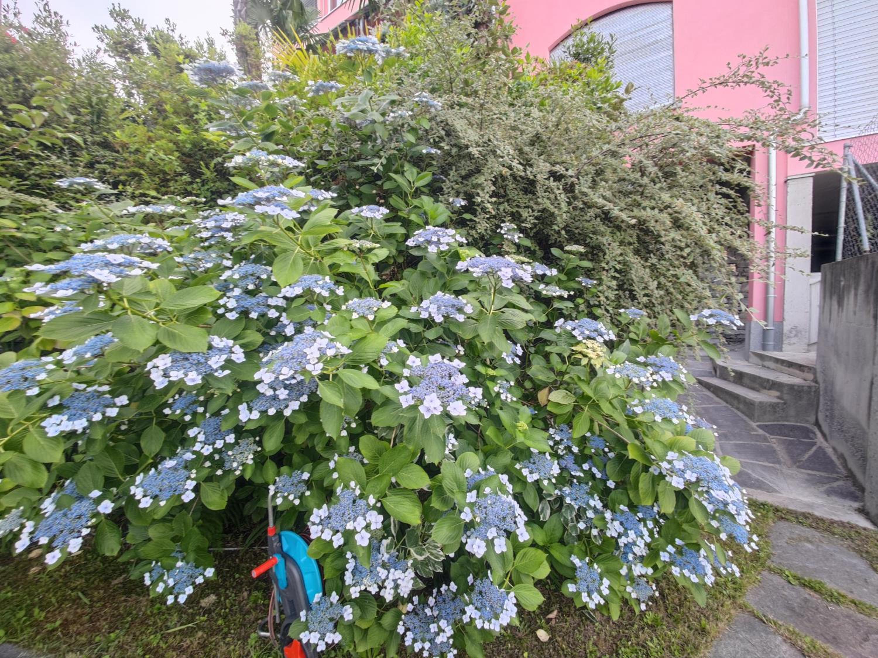Residence Venus Garden